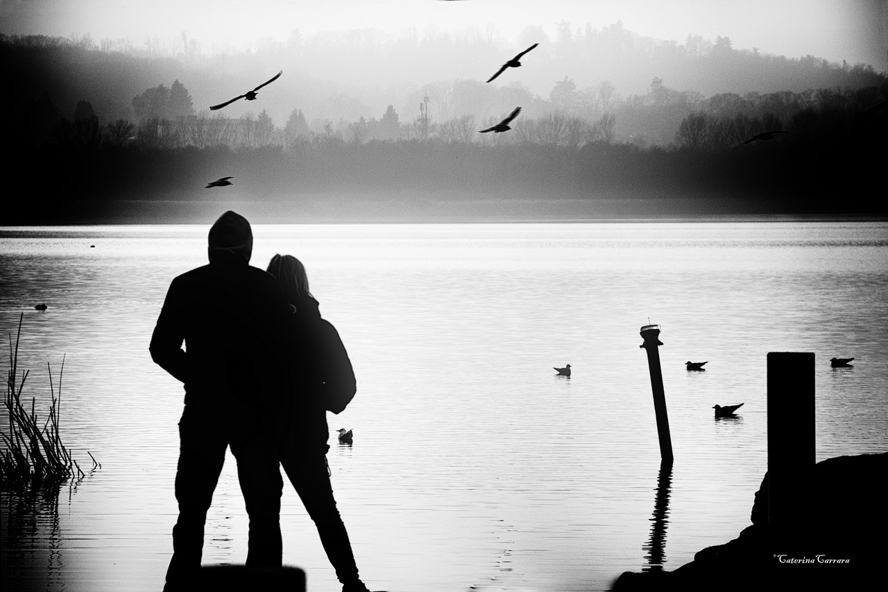 At dusk on the lake ...