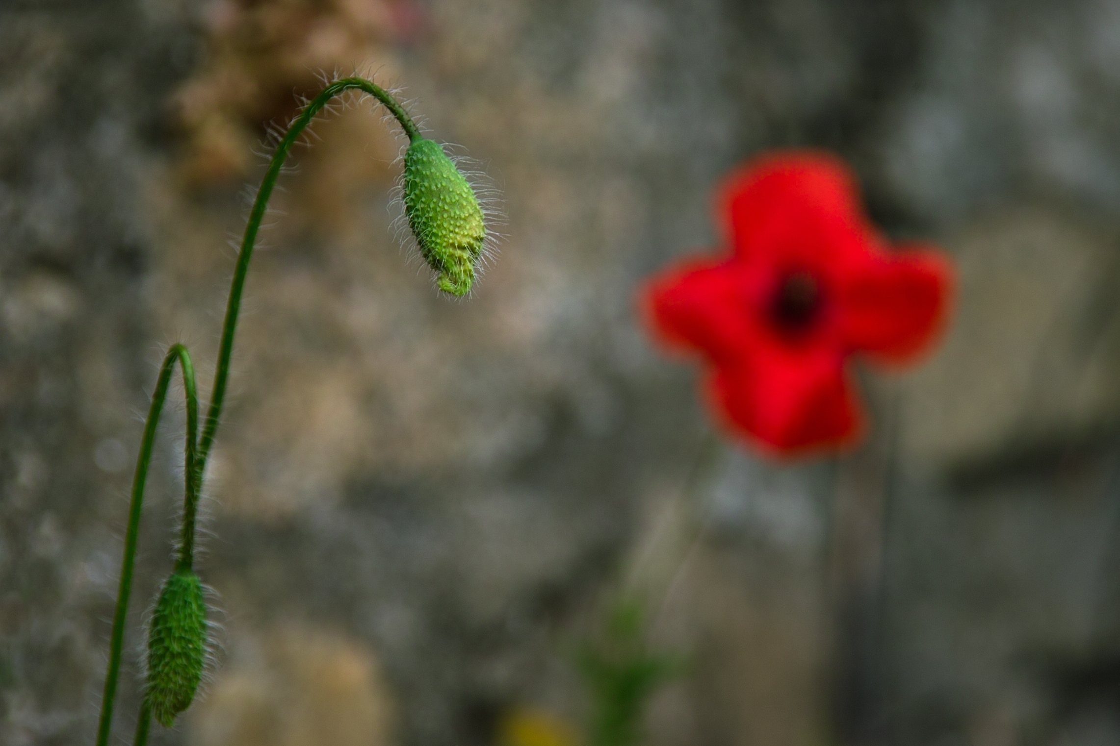 Guarda che ti vedo...