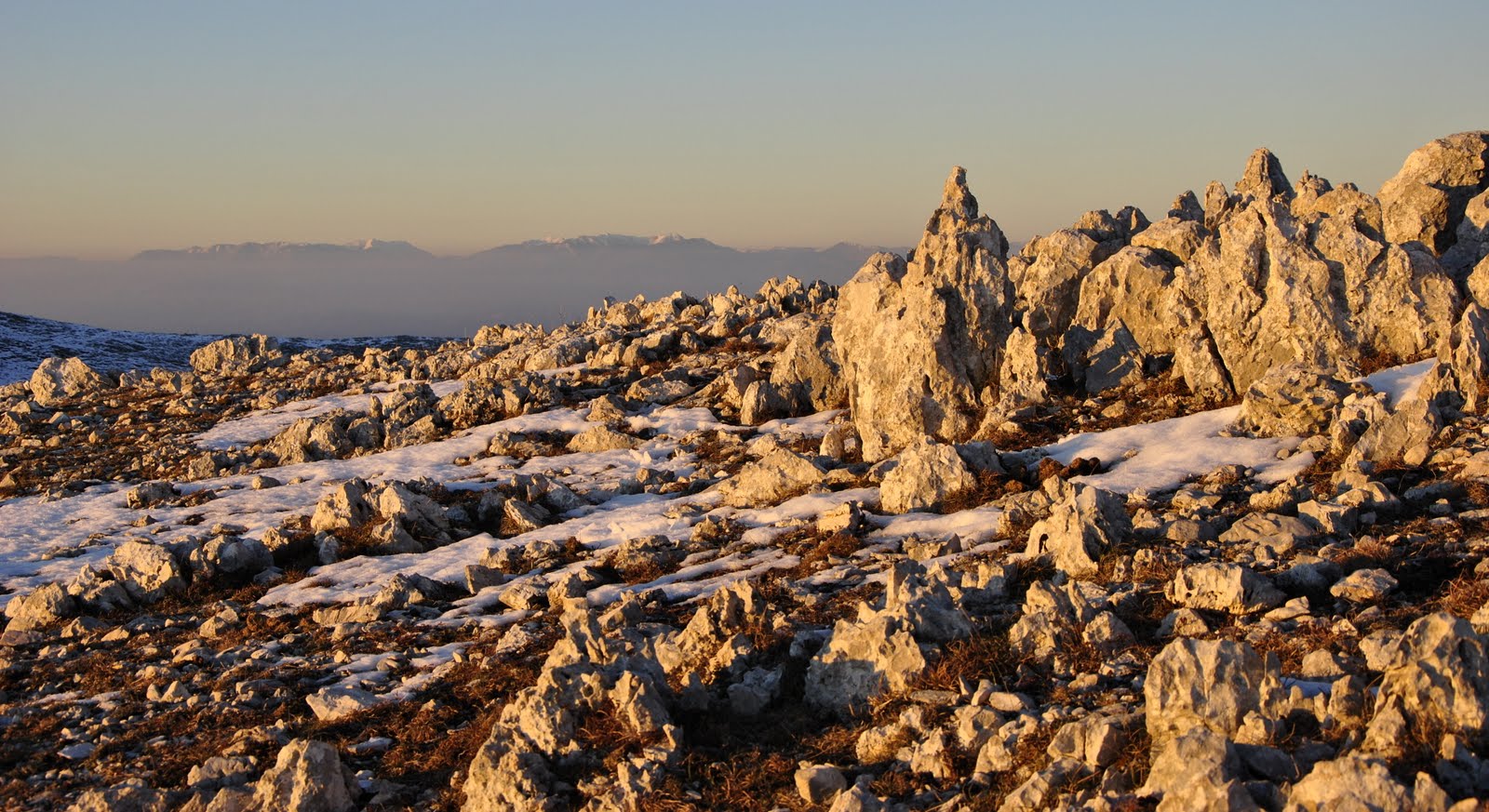 Light pink on the rocks ...