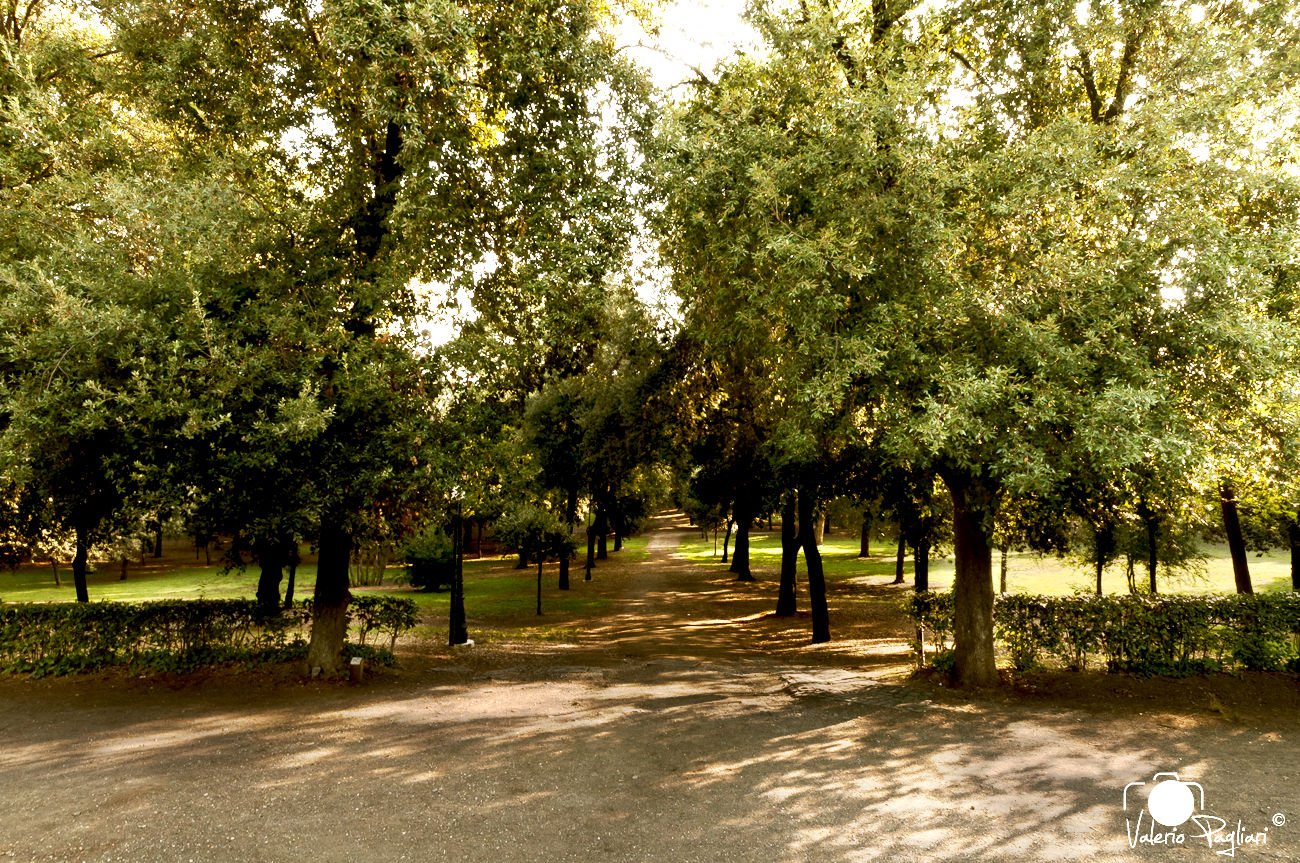 avenue - Villa Borghese