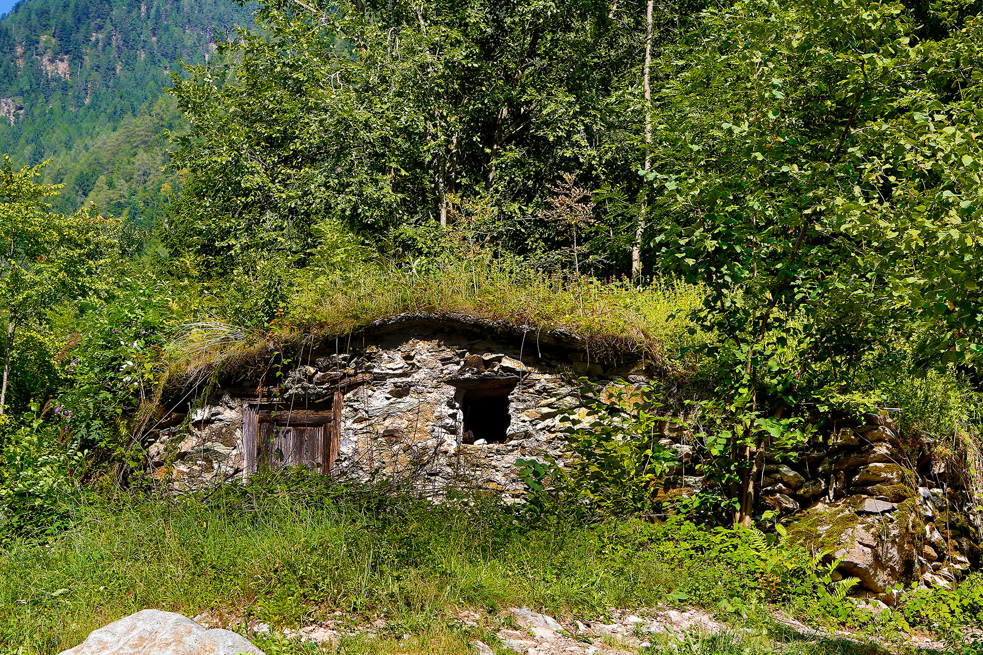 Casetta ecocompatiblie