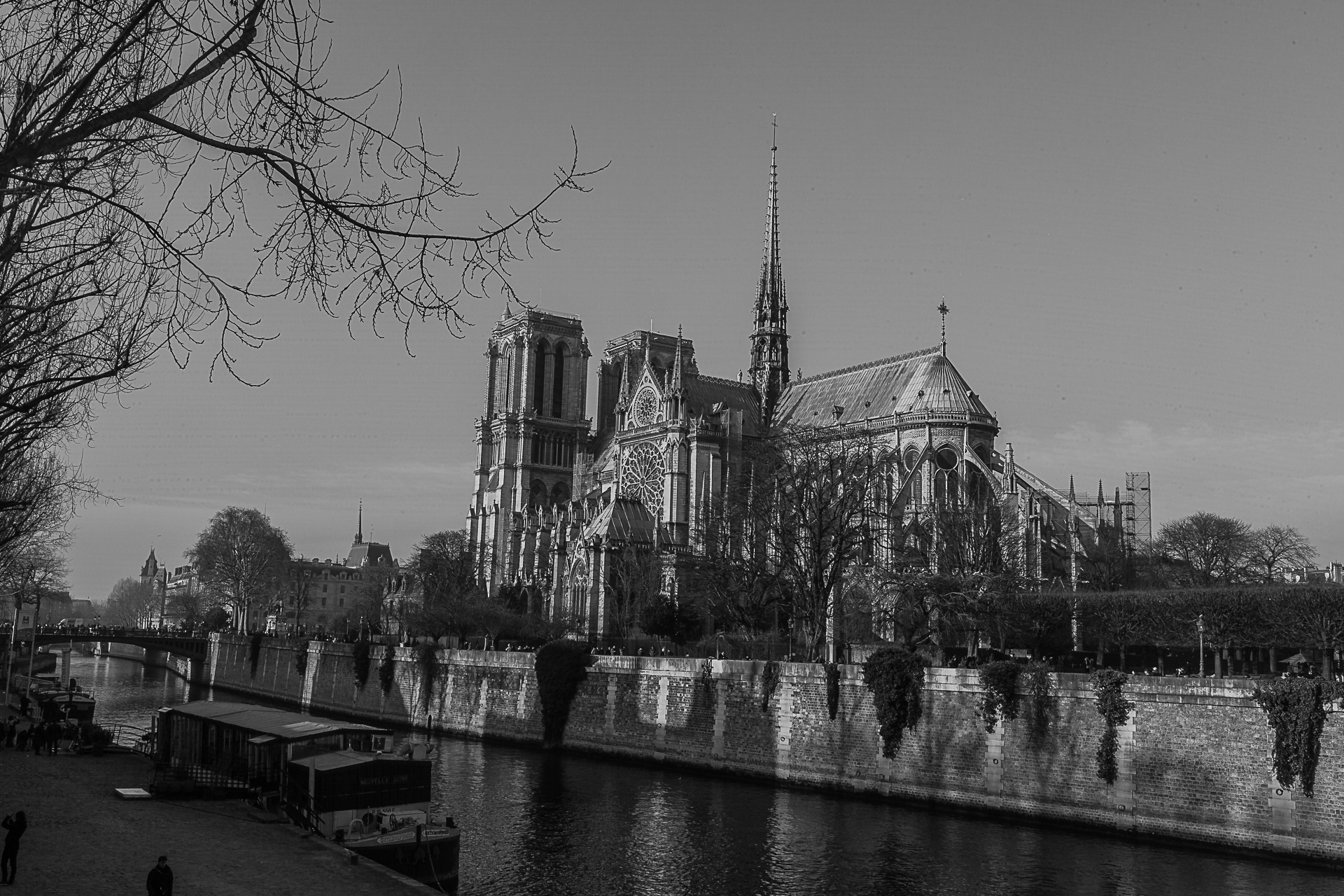 Notre Dame in back