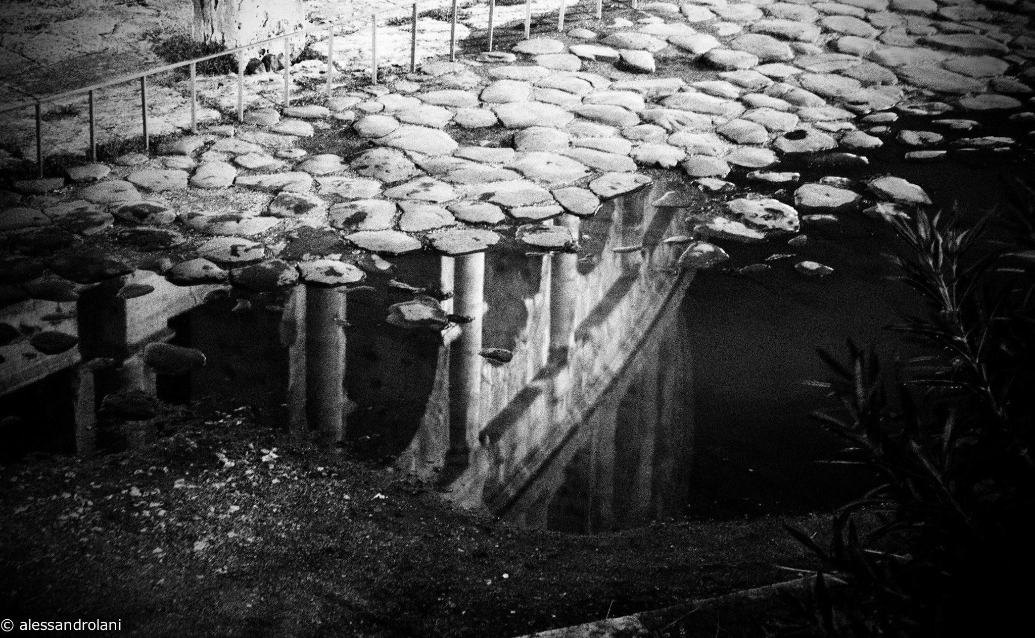 Punti di vista...(Colosseo)