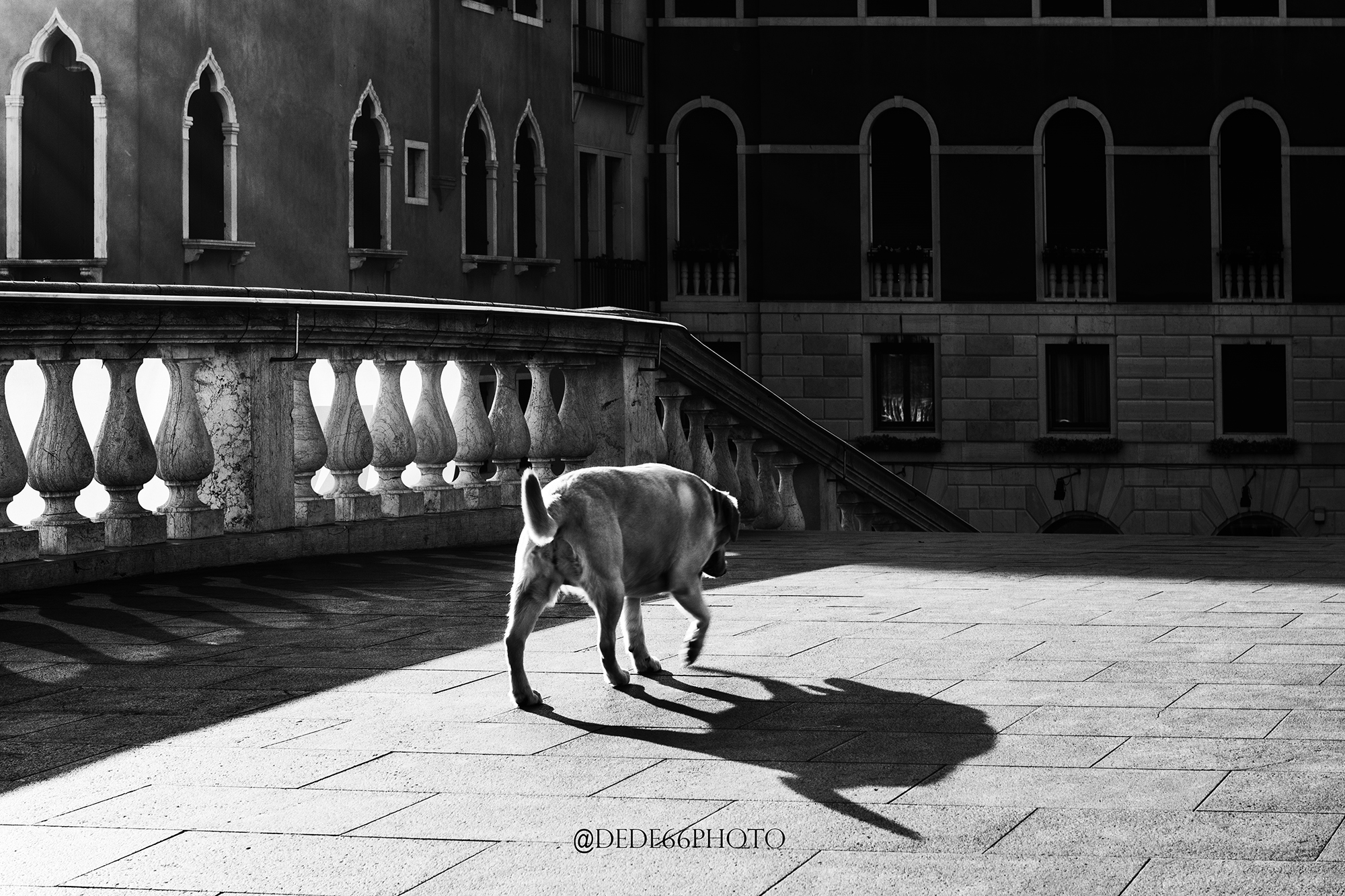 Venexia, Ponte dea Staxion