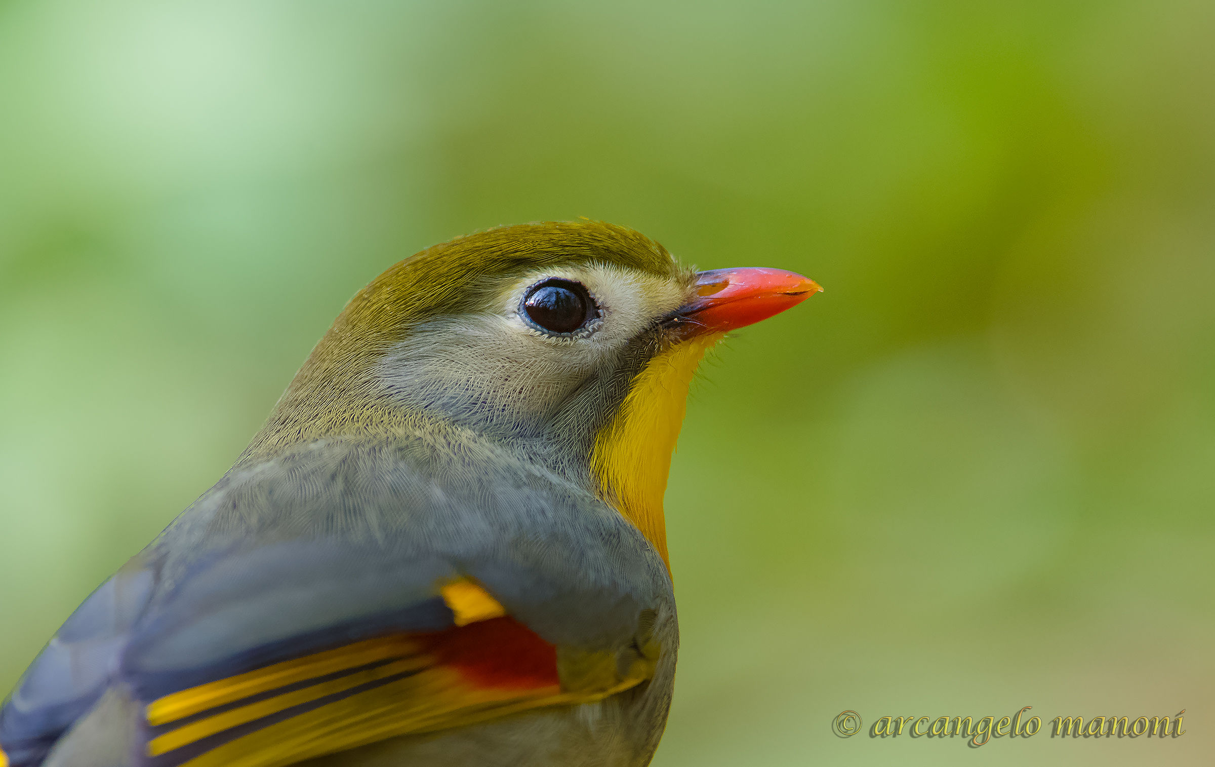 scendendo nei dettagli