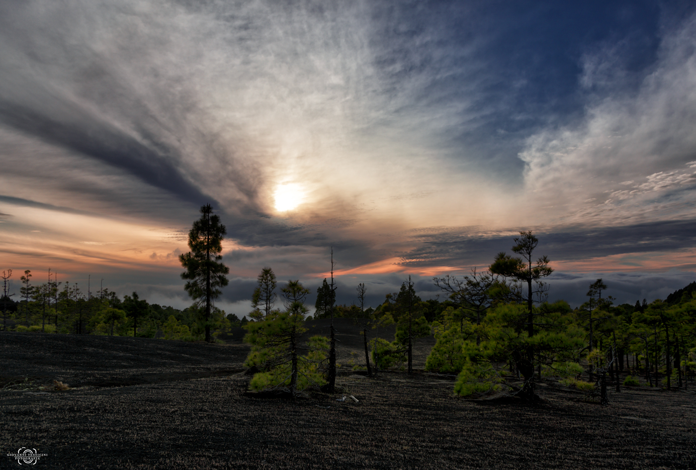 Two million years ago ...