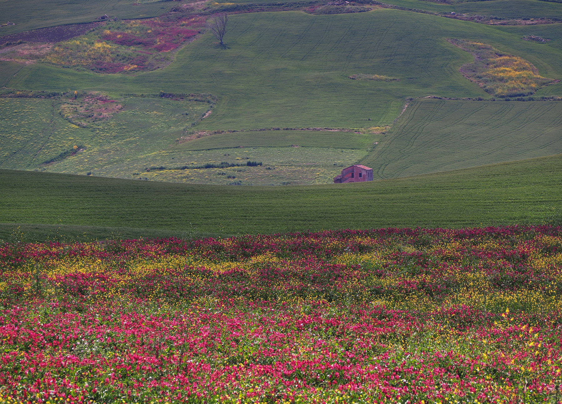 Nestled in the countryside.