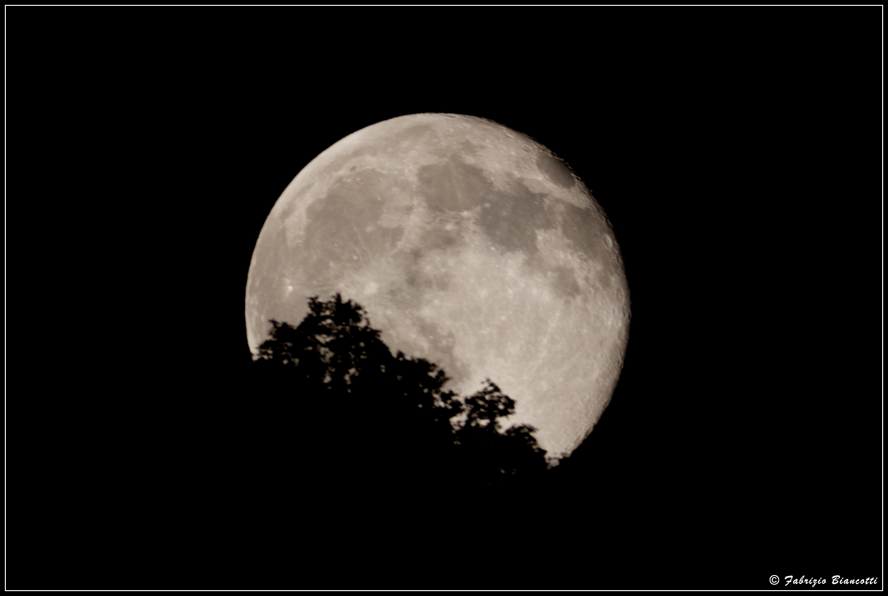 Affascinato dalla luna