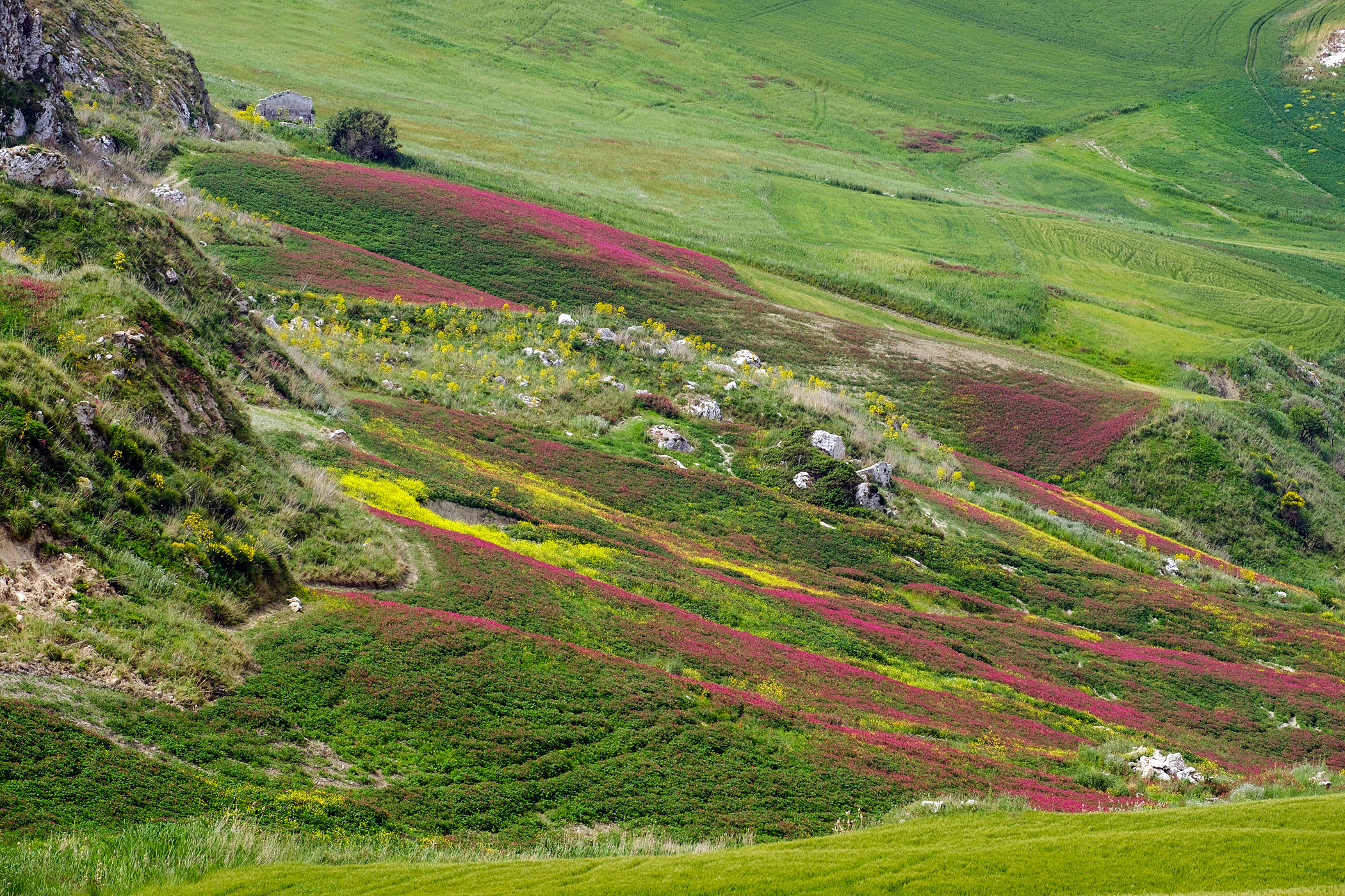 Colors of Sicily