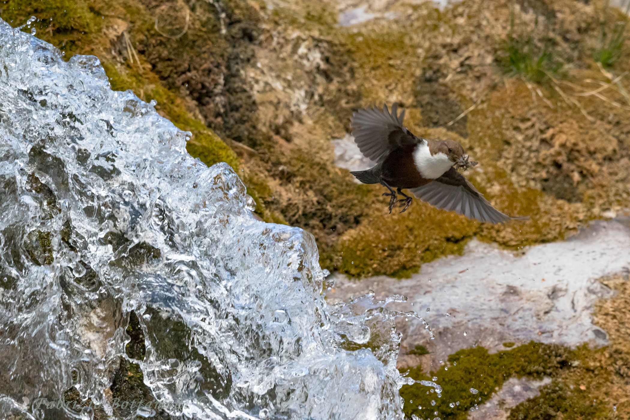 Crystal Falls and dipper