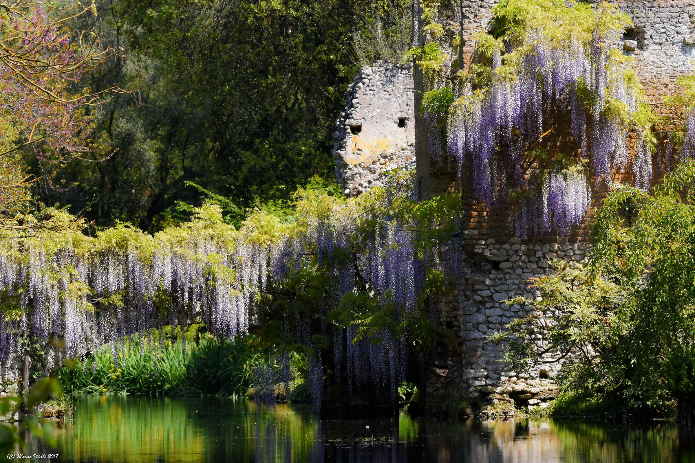 A view of the river Ninfa