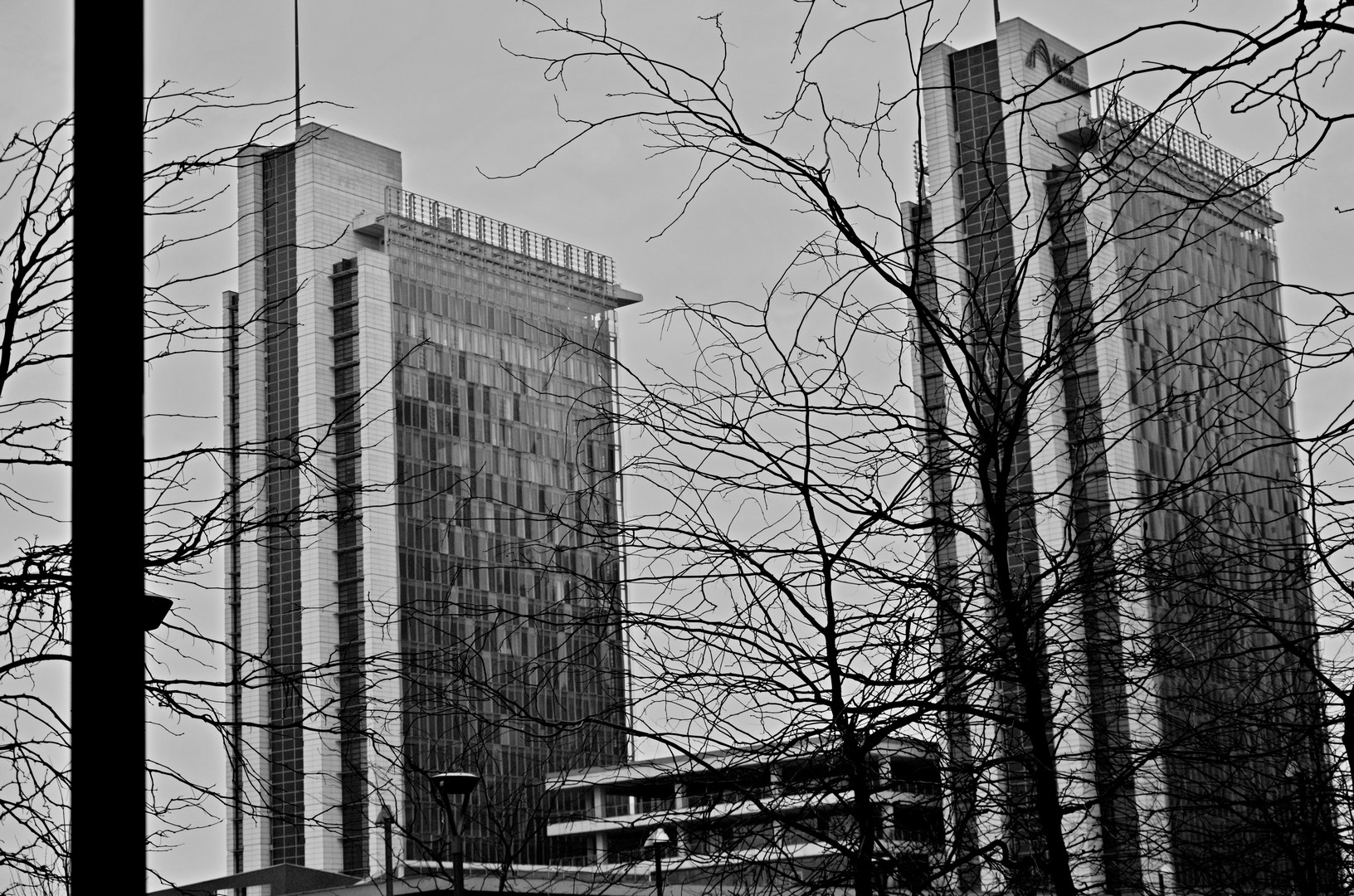 Skyscrapers and branches