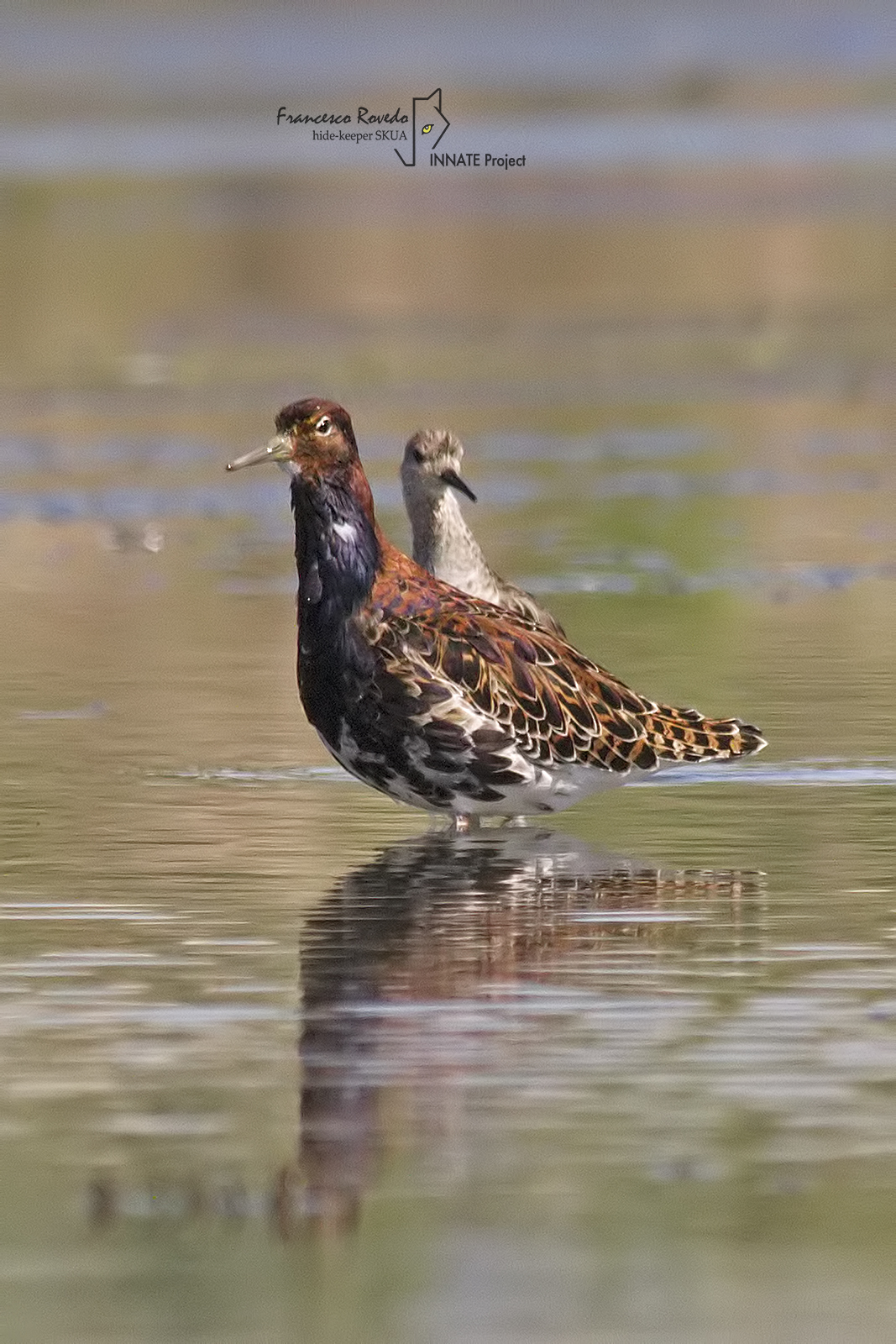 i primi abiti della stagione