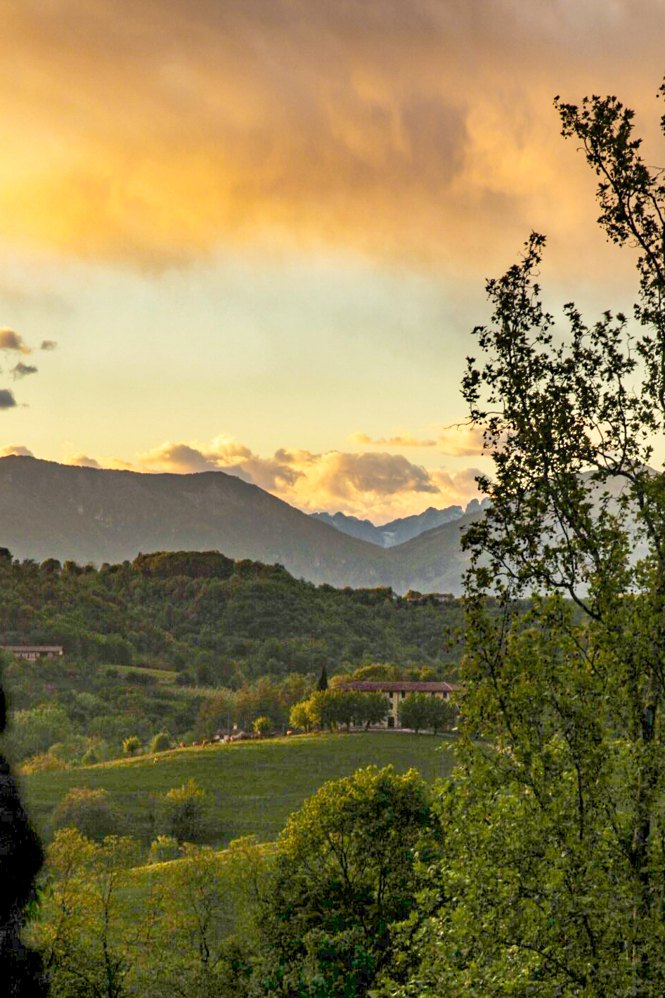 View from the castle