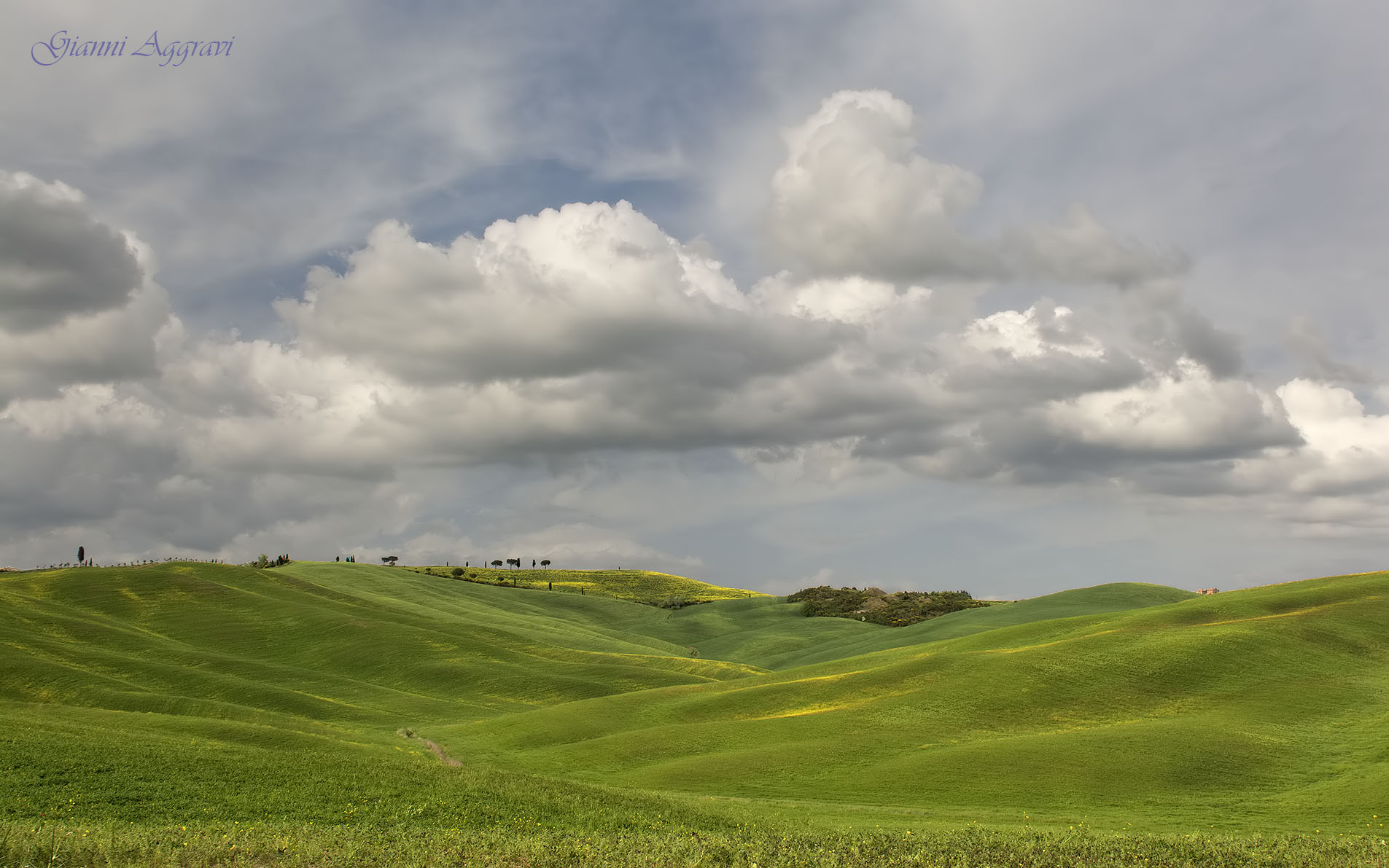 During the 22/25 April 2017 rally