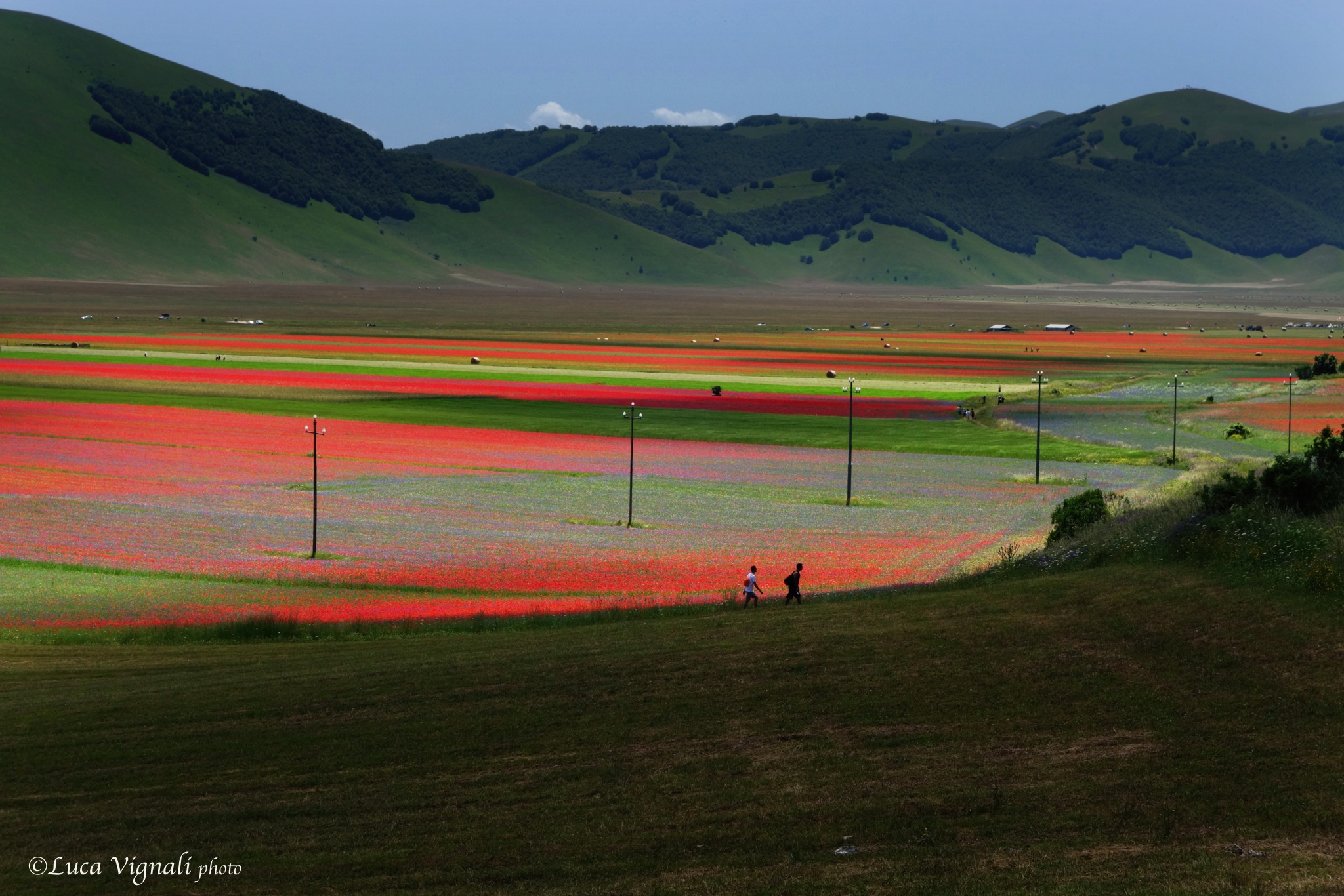 Castelluccio