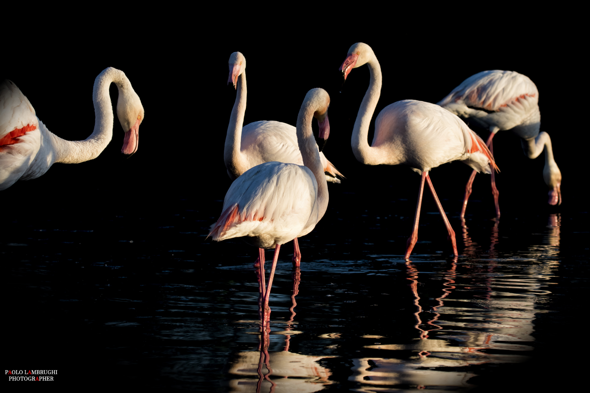 The last ray of sunshine