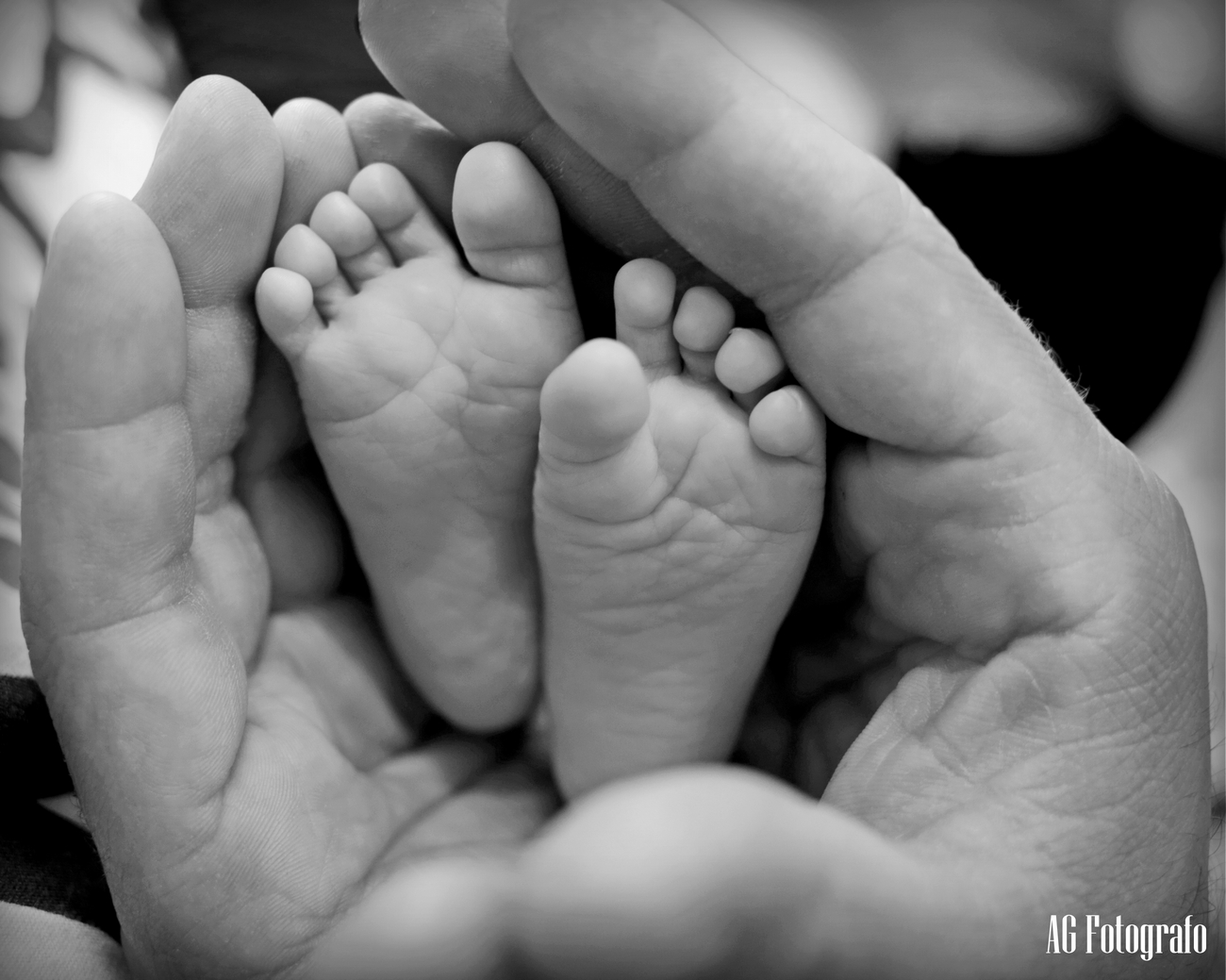 Canon 5d mark iii canon 35mm 2.0