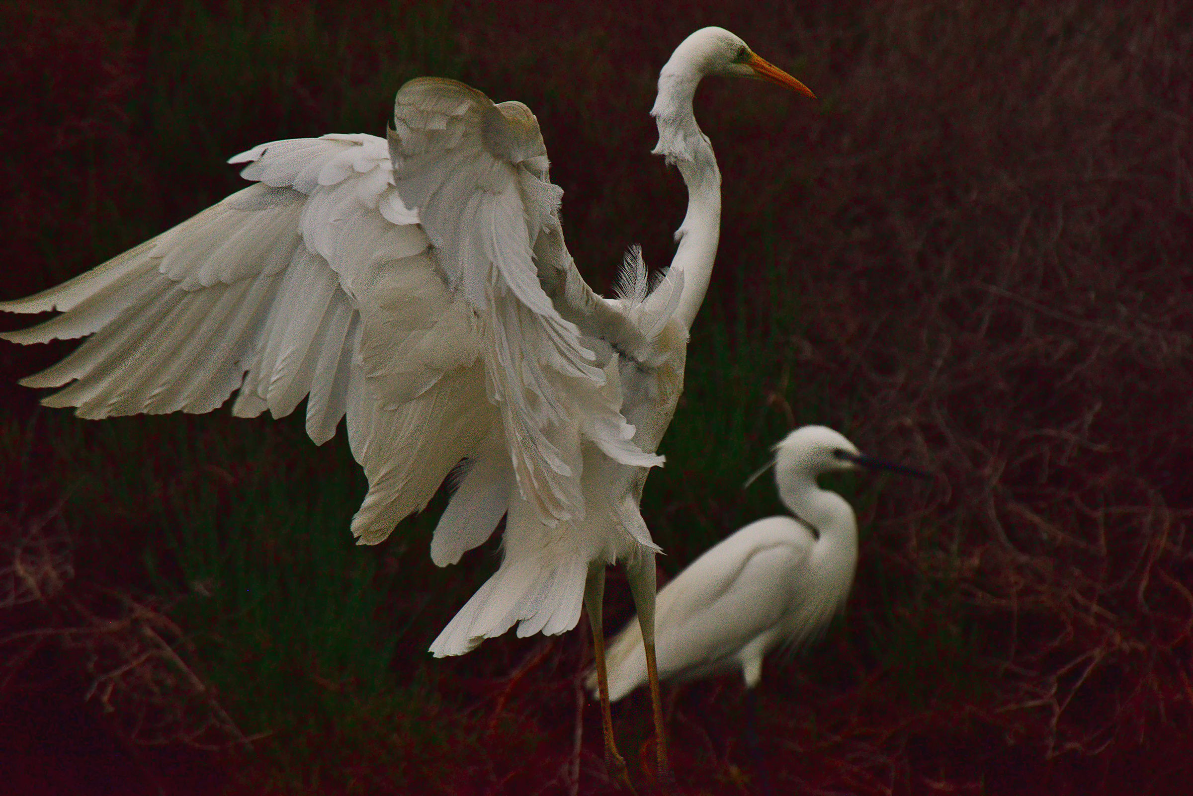 Landing in high winds