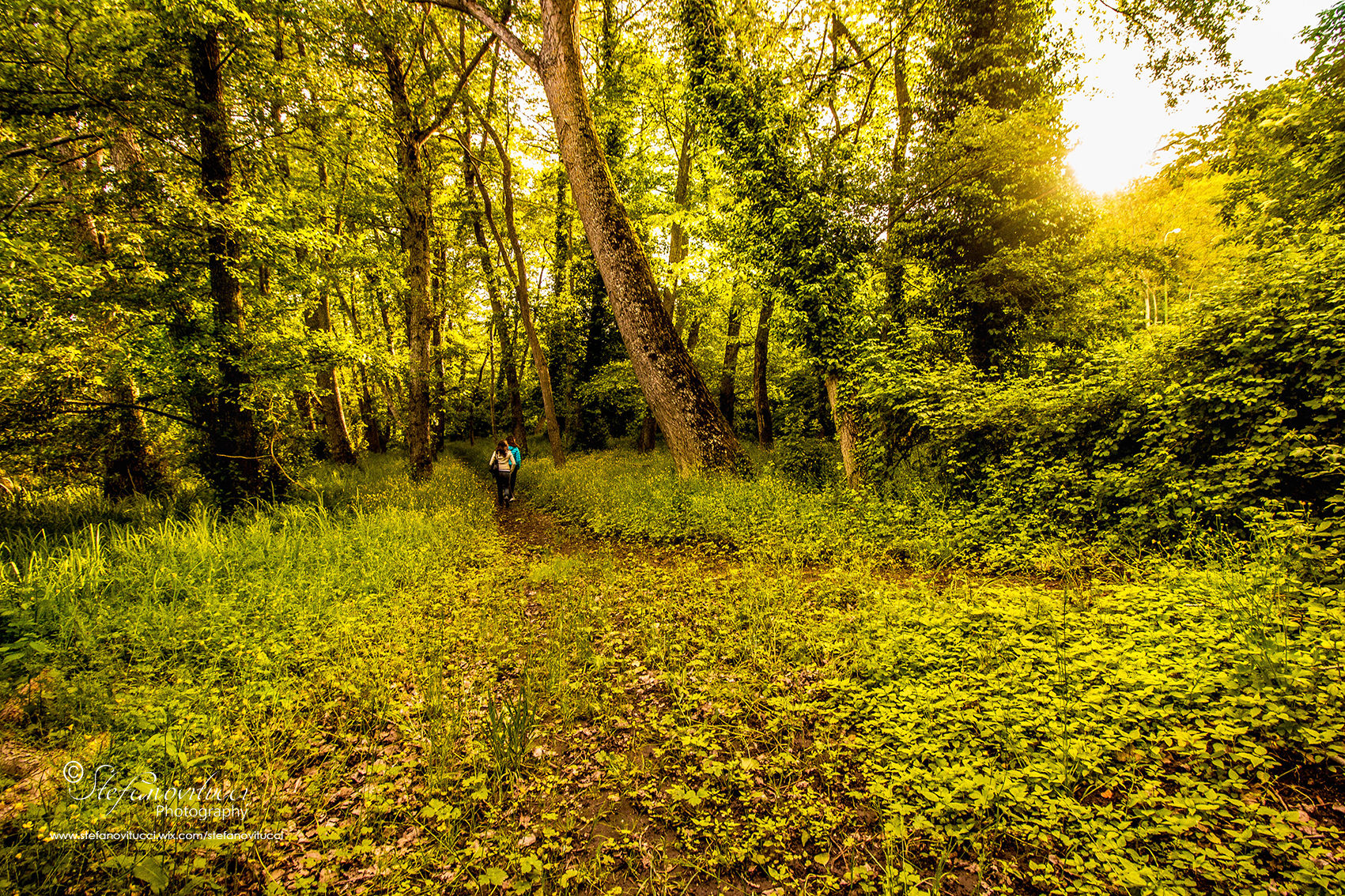 Nel cuore del Gargano