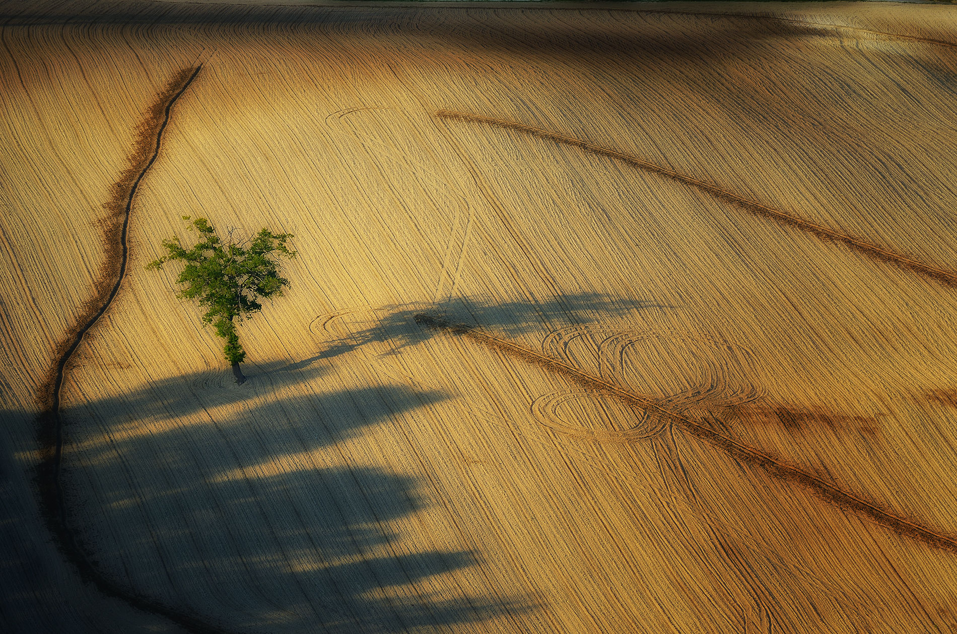 Campagna Marchigiana 2