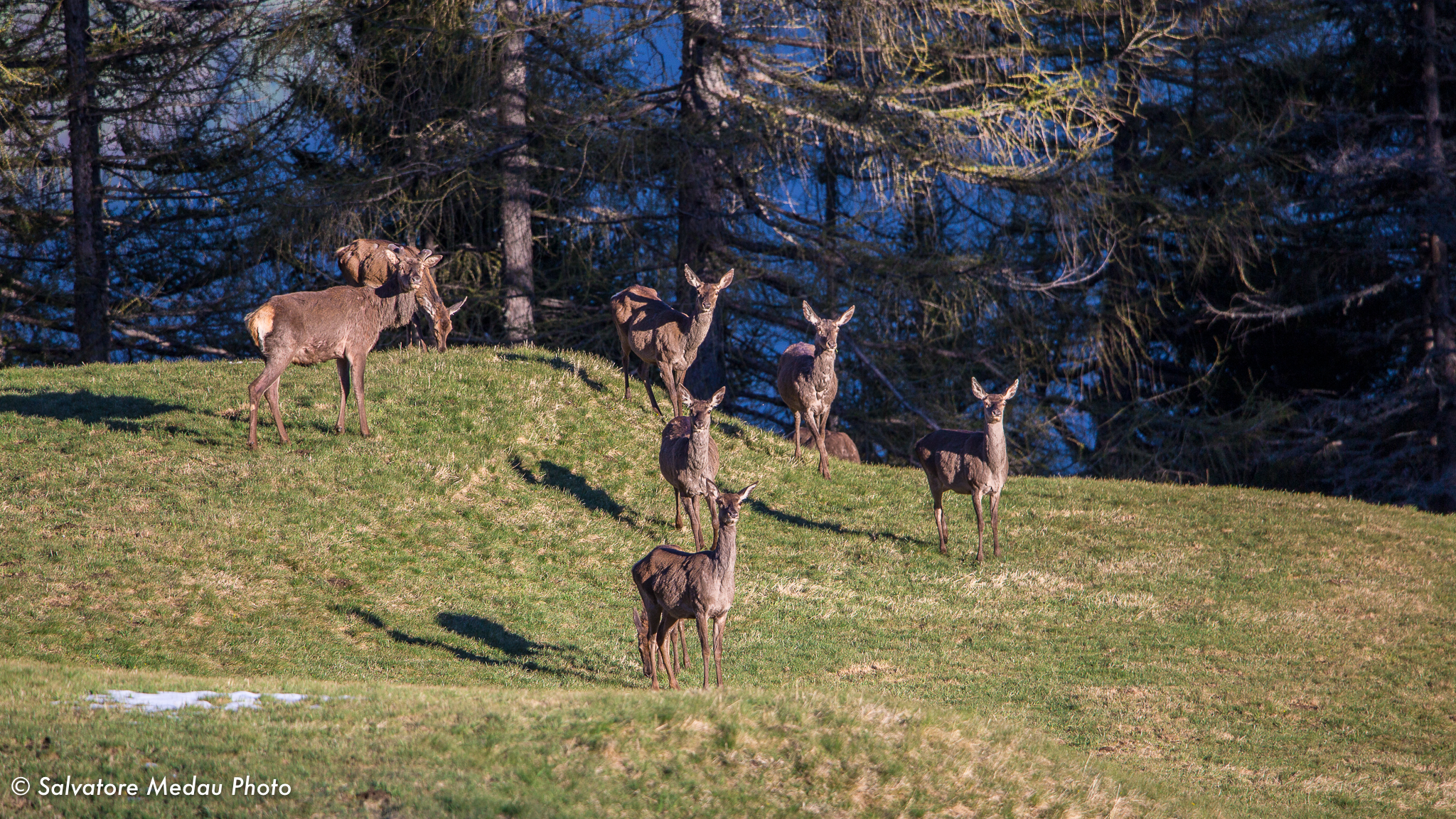 Qualcuno ci sta osservando ....