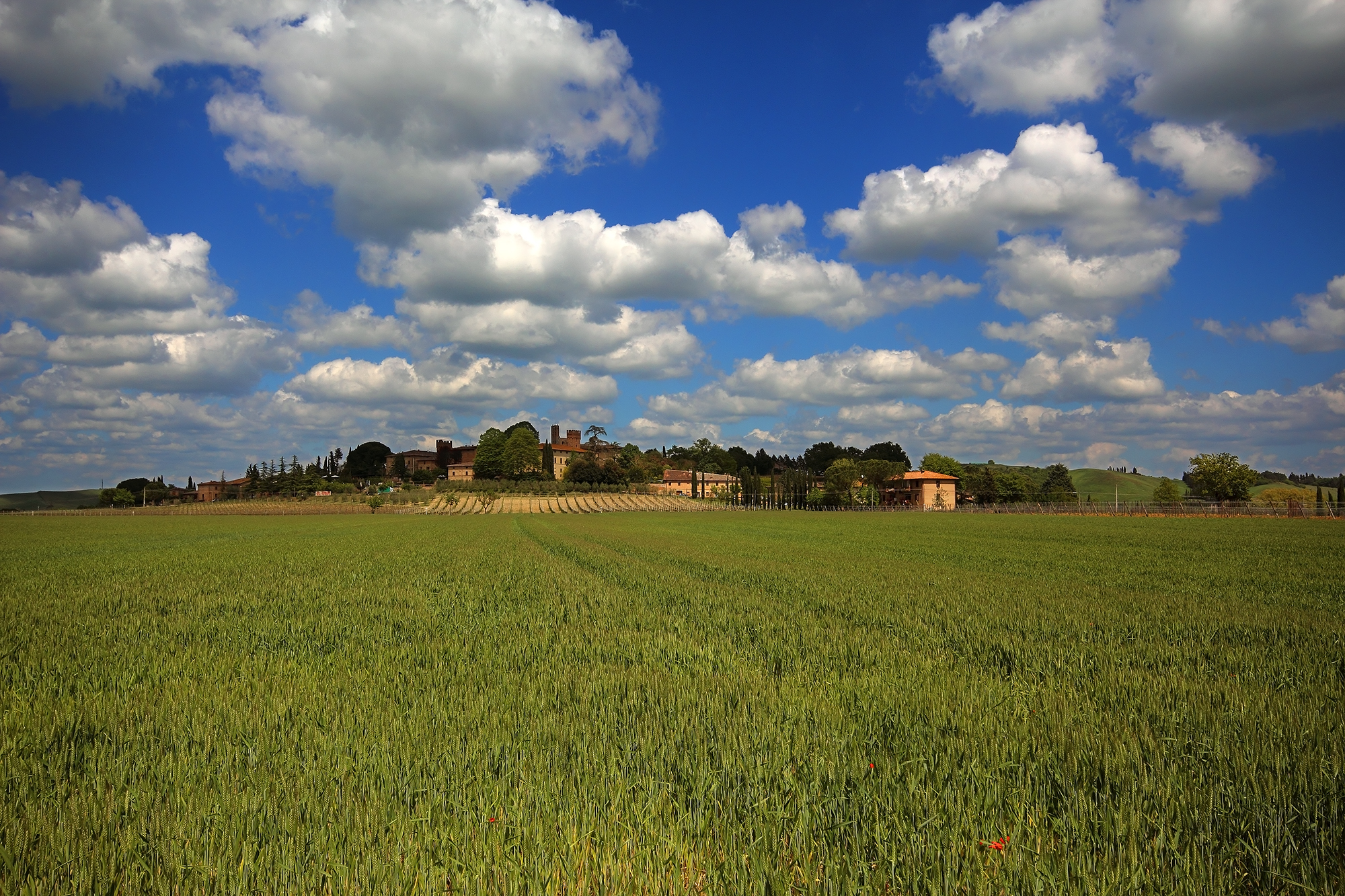 La Val d'Arbia sotto questo cielo