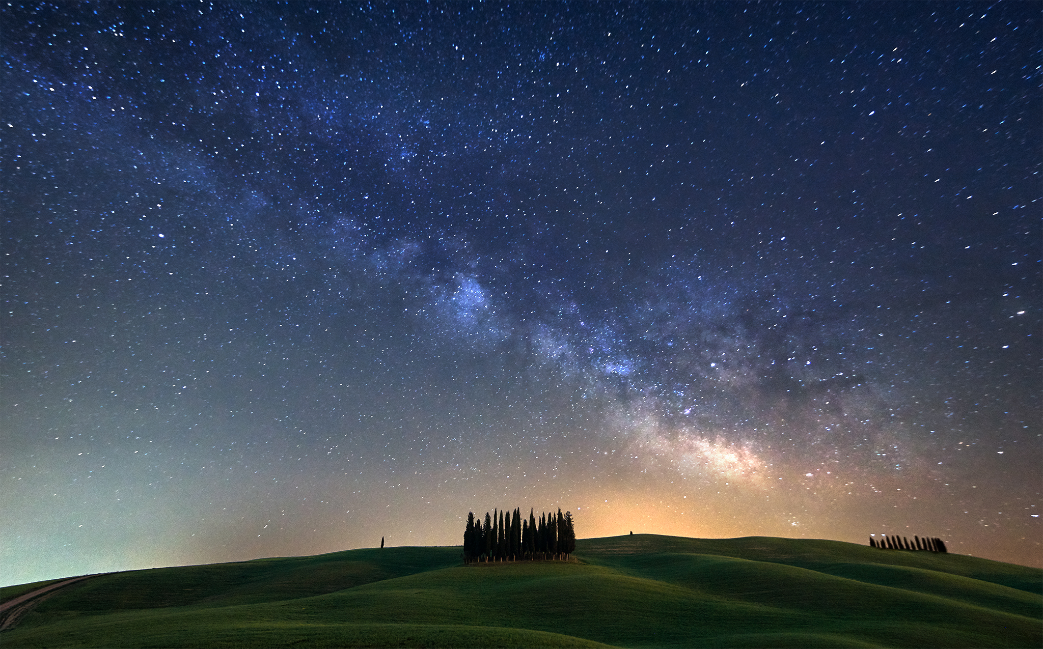 The Cypress of San Quirico