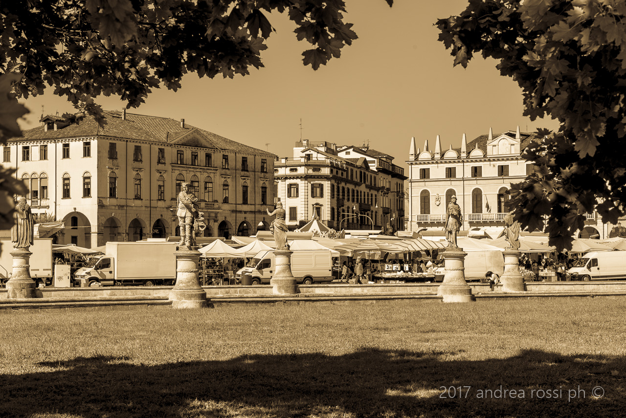 Lawn of the valley - PD