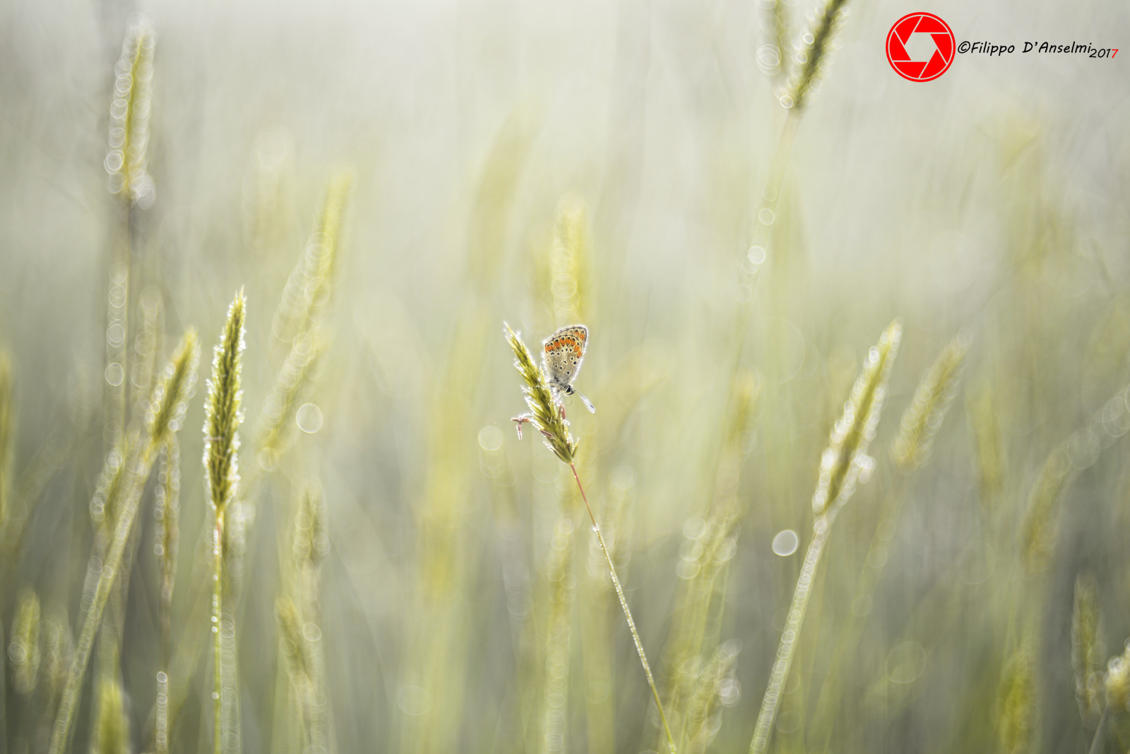 In their own world ..