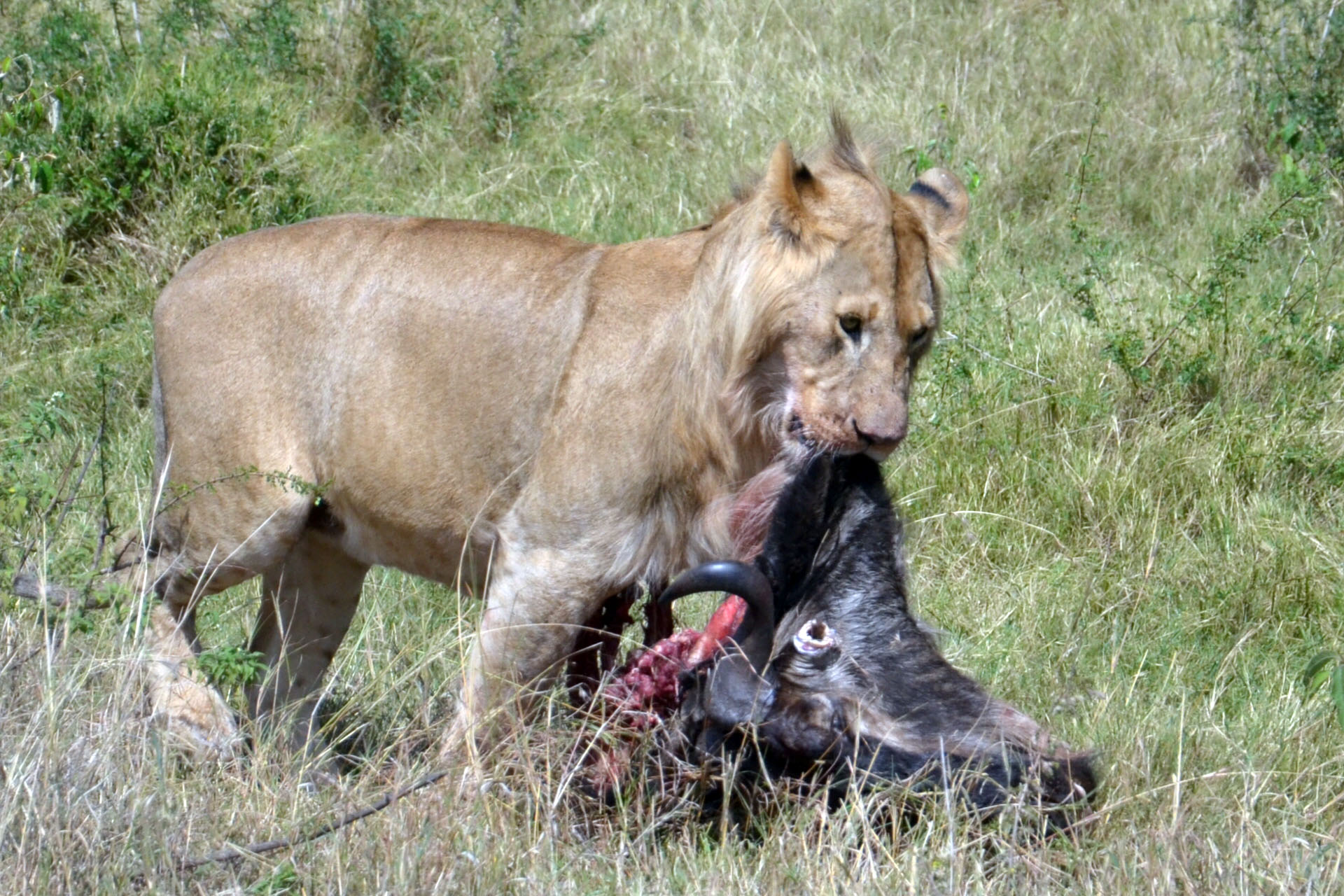 questa è mia e guai chi la tocca