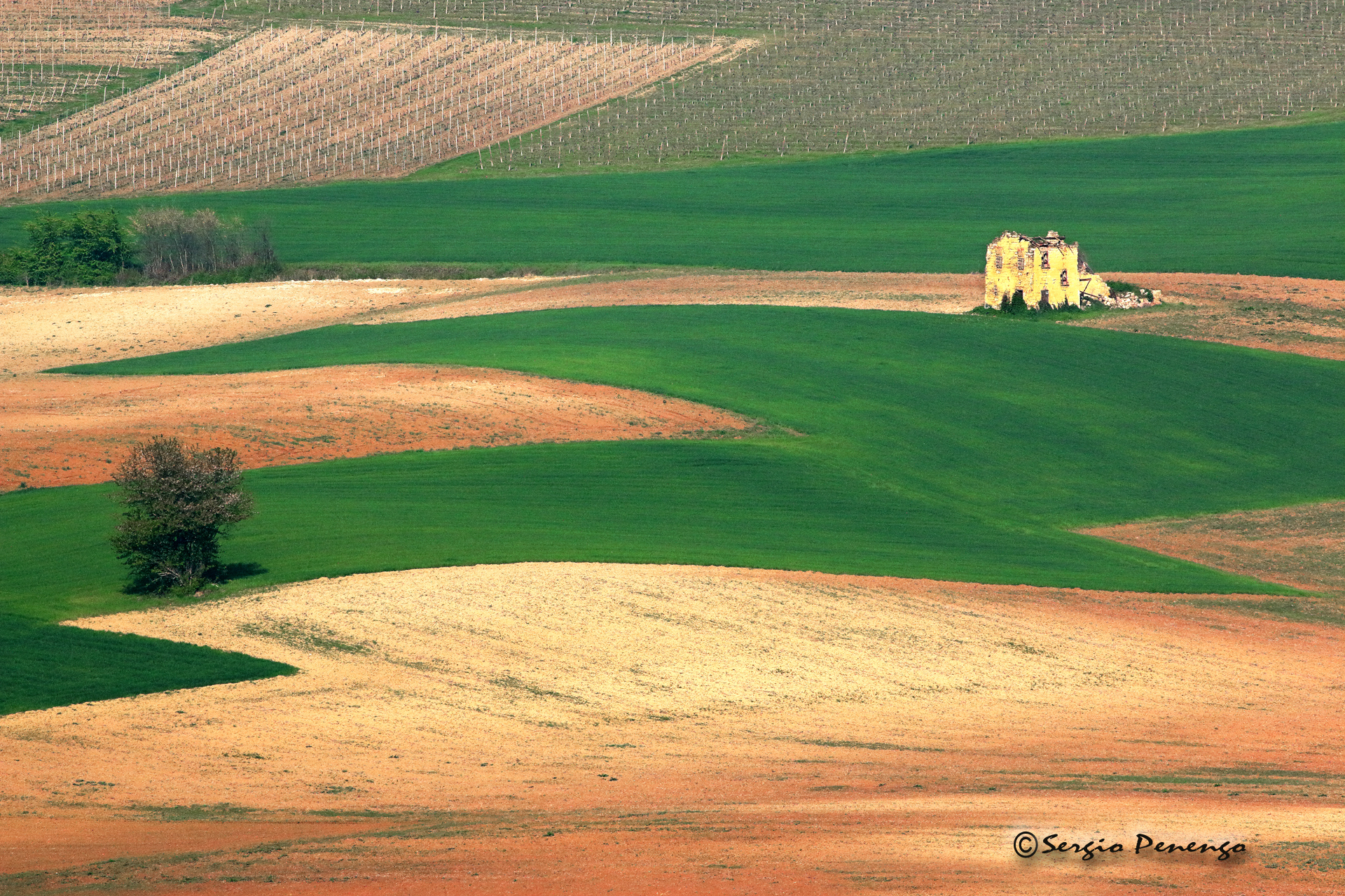 "MONFERRATO"