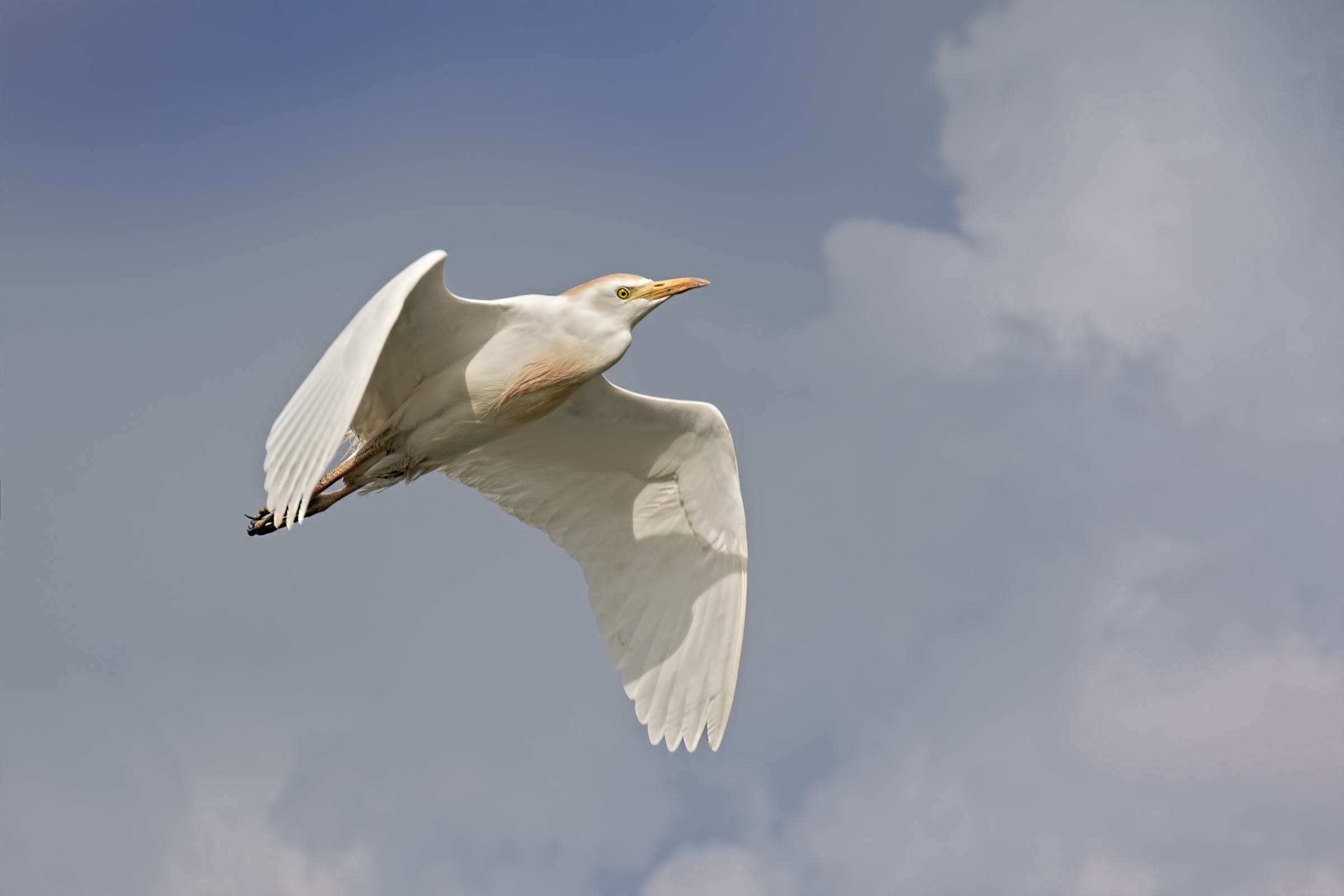 Lake Superior Mantova - Meetings 2017