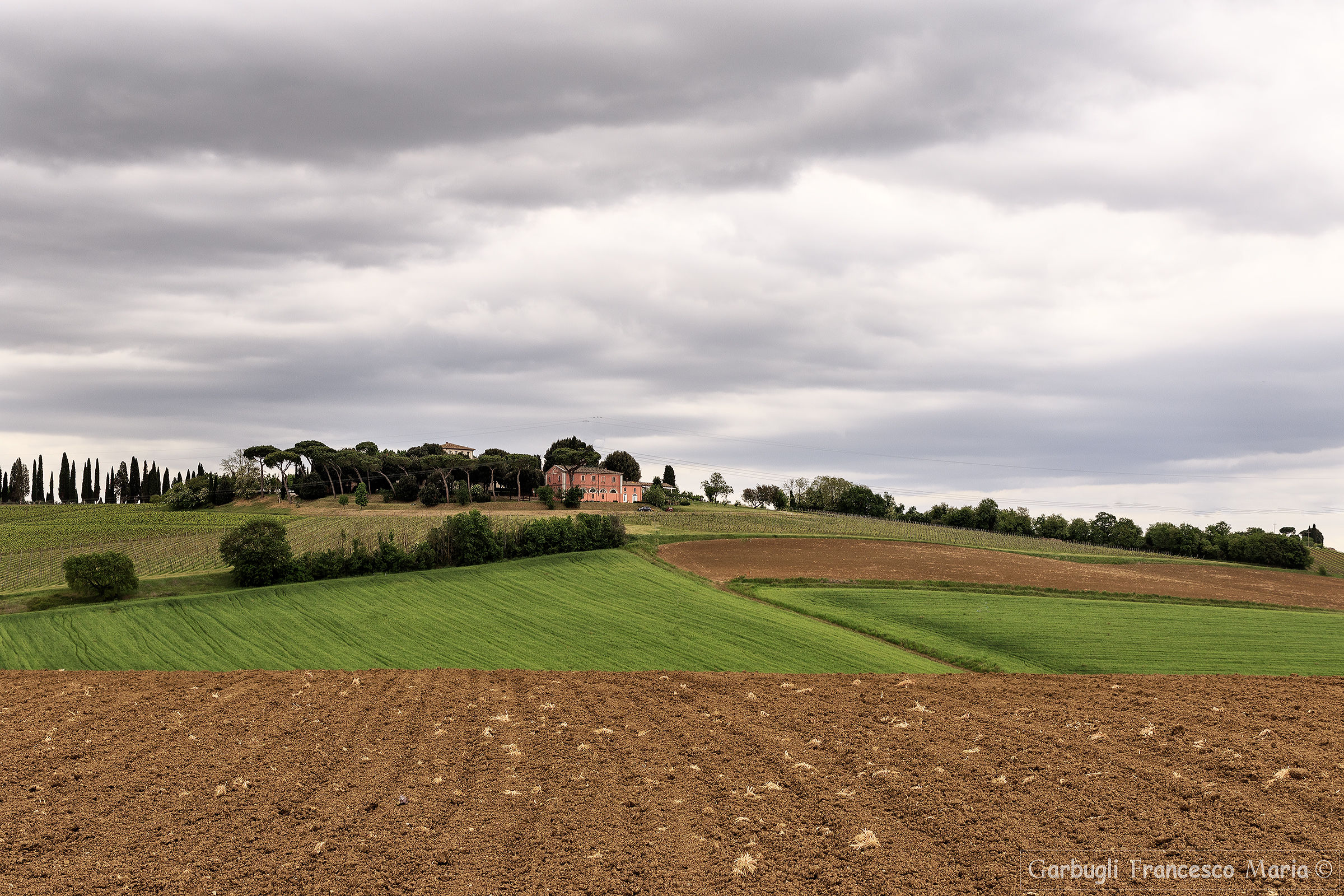 Contrasts at Centoia