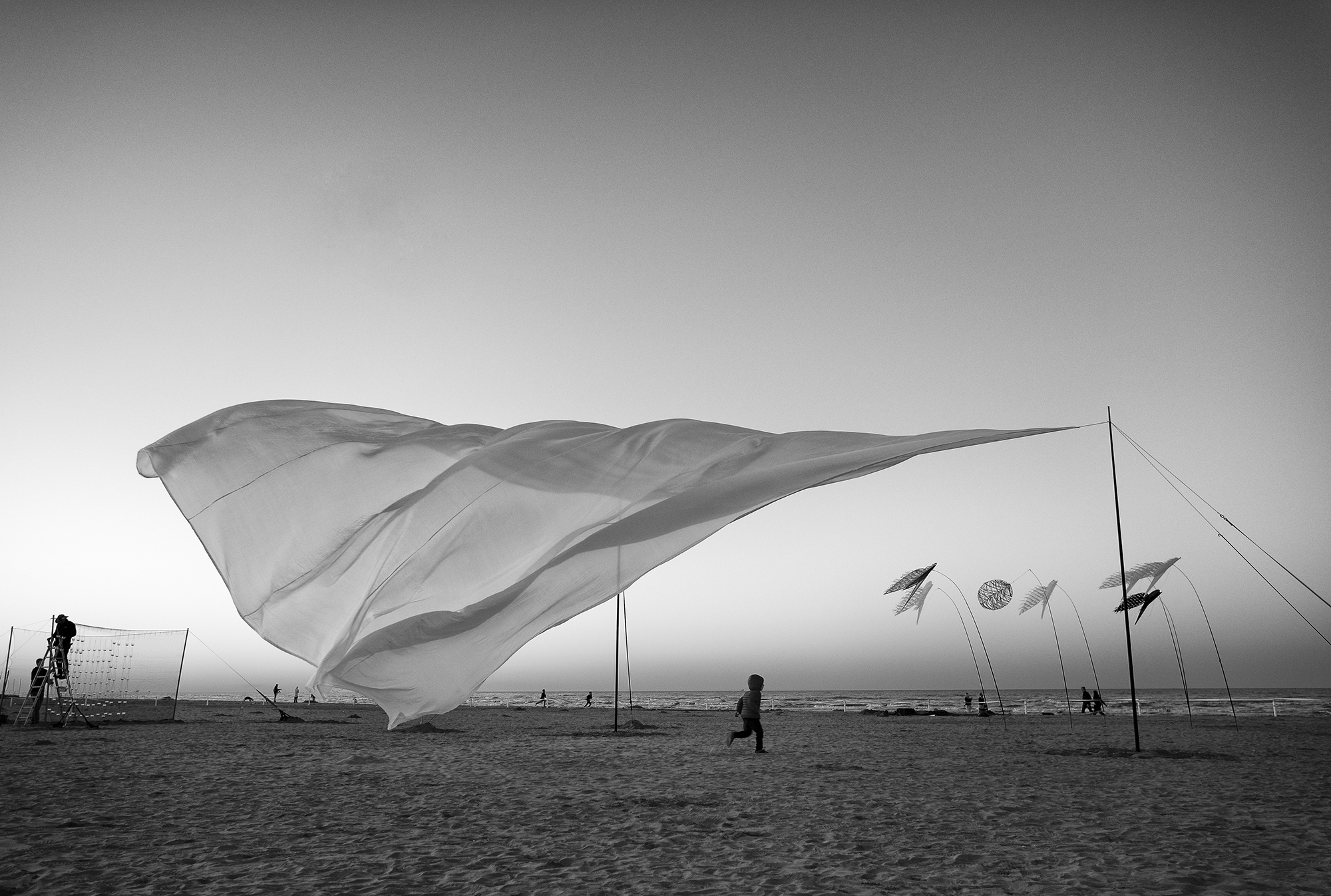 Festival degli Aquiloni