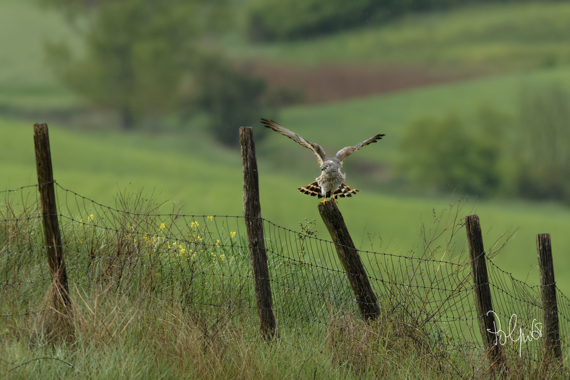 Exchange between sisters