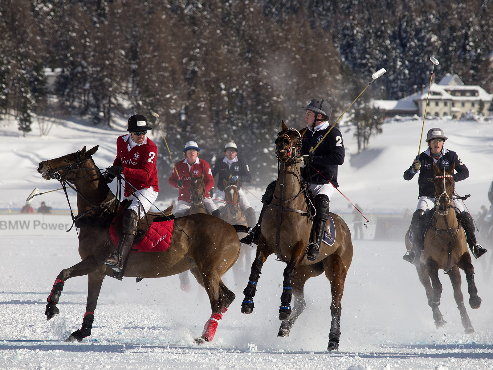 snow polo