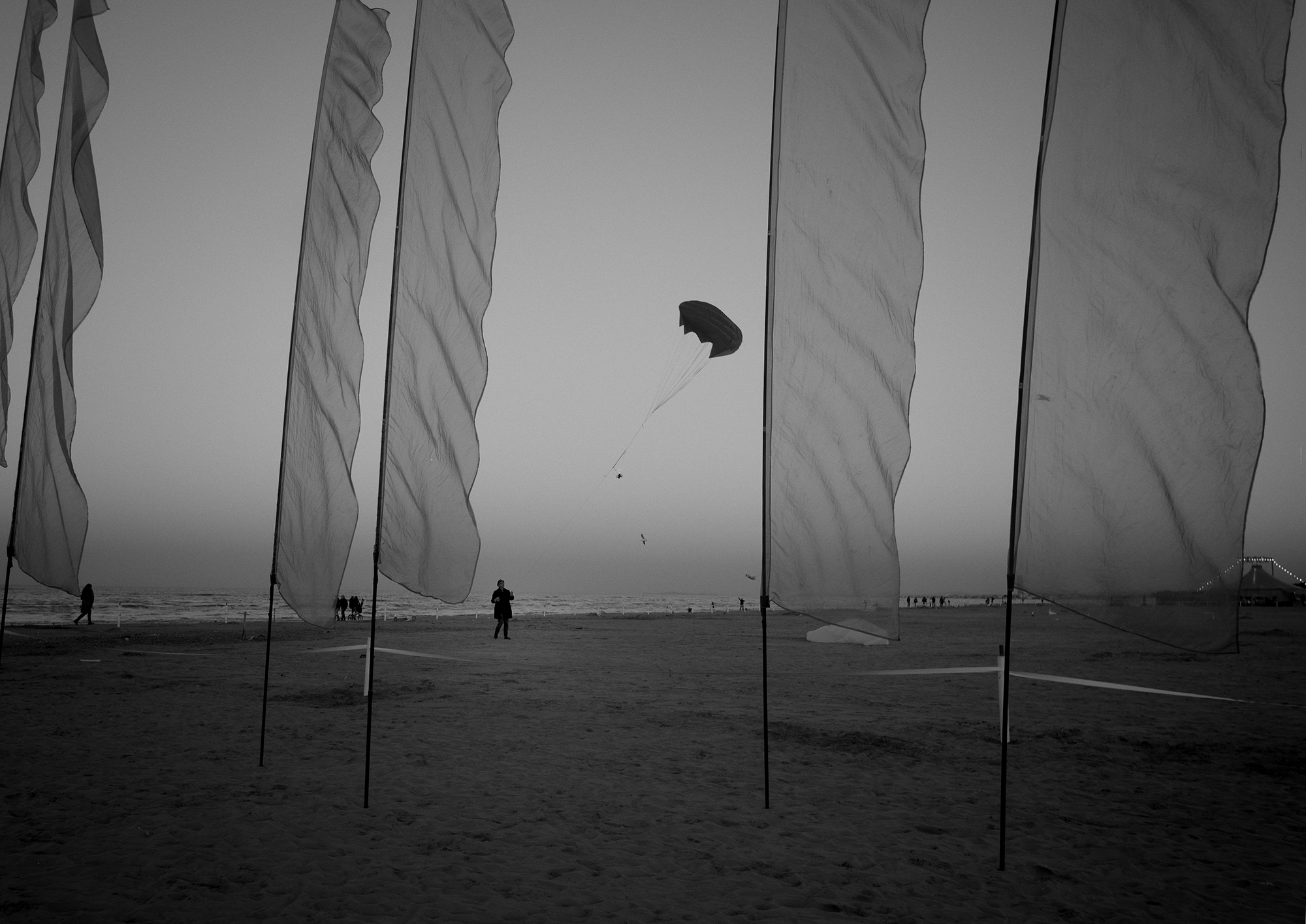 Cervia, Festival of Kites