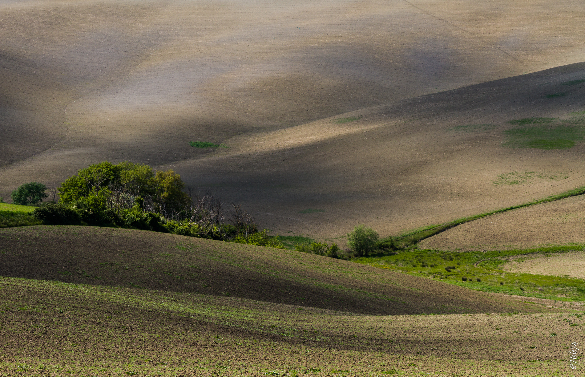 lights and shadows in the Val D'Orcia