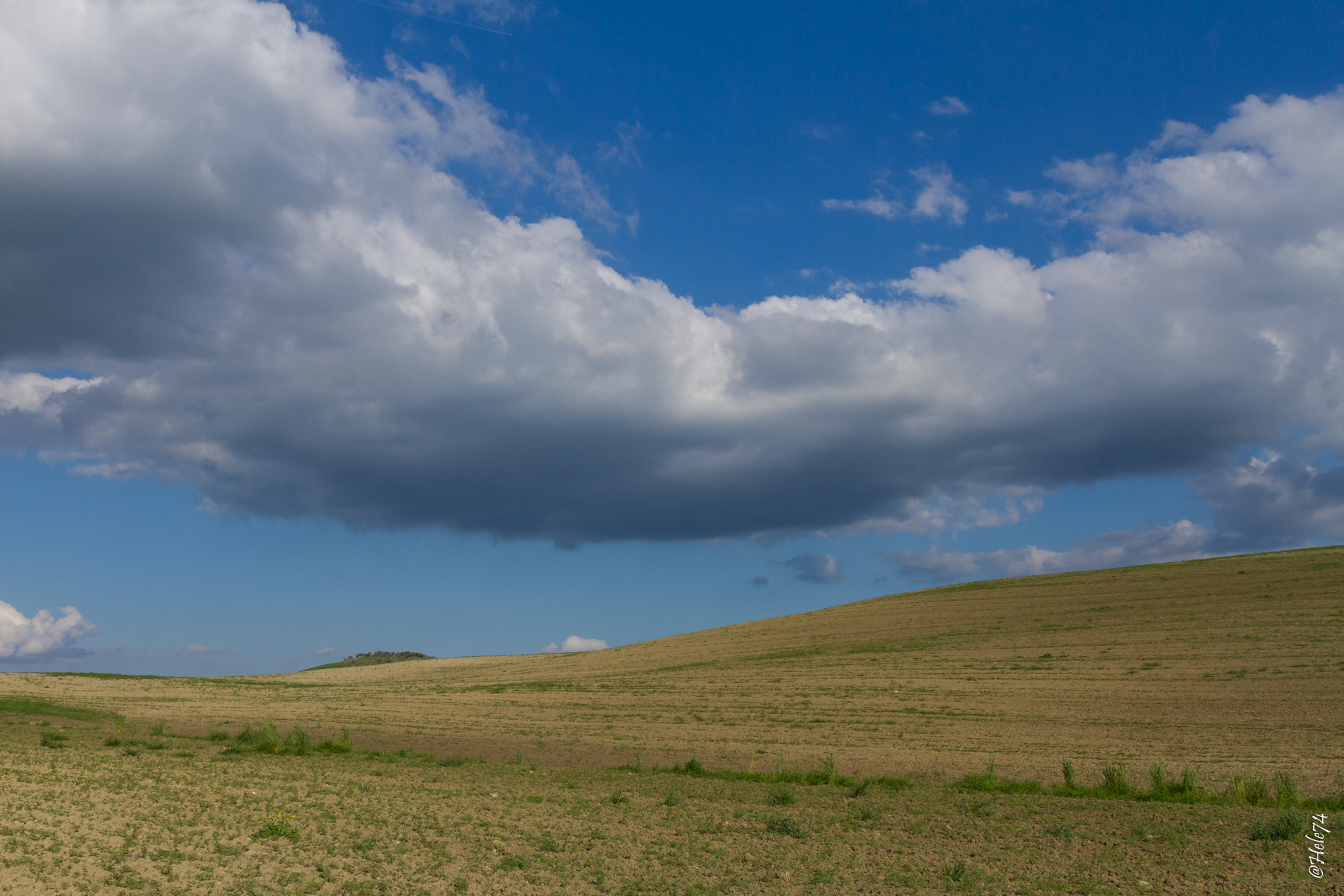 contrasts the Val D'Orcia
