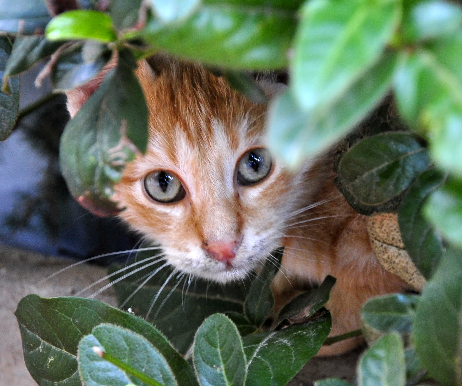 Into the wild ... ^ ^