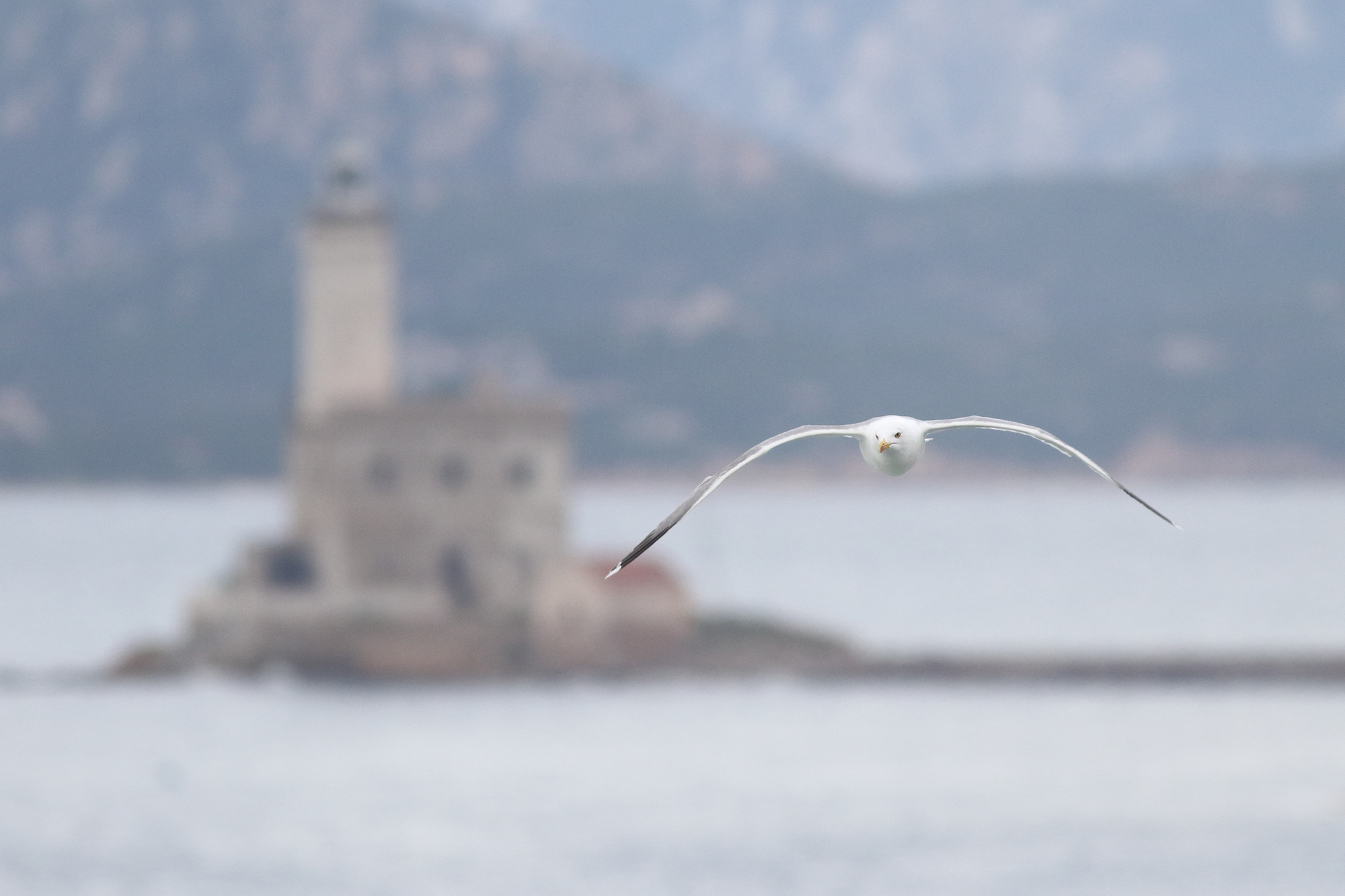 The lighthouse keeper