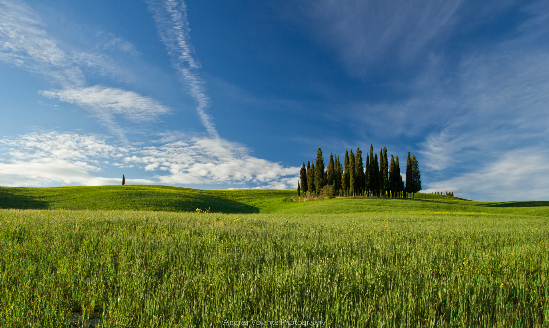 ...elementi nella campagna Toscana.