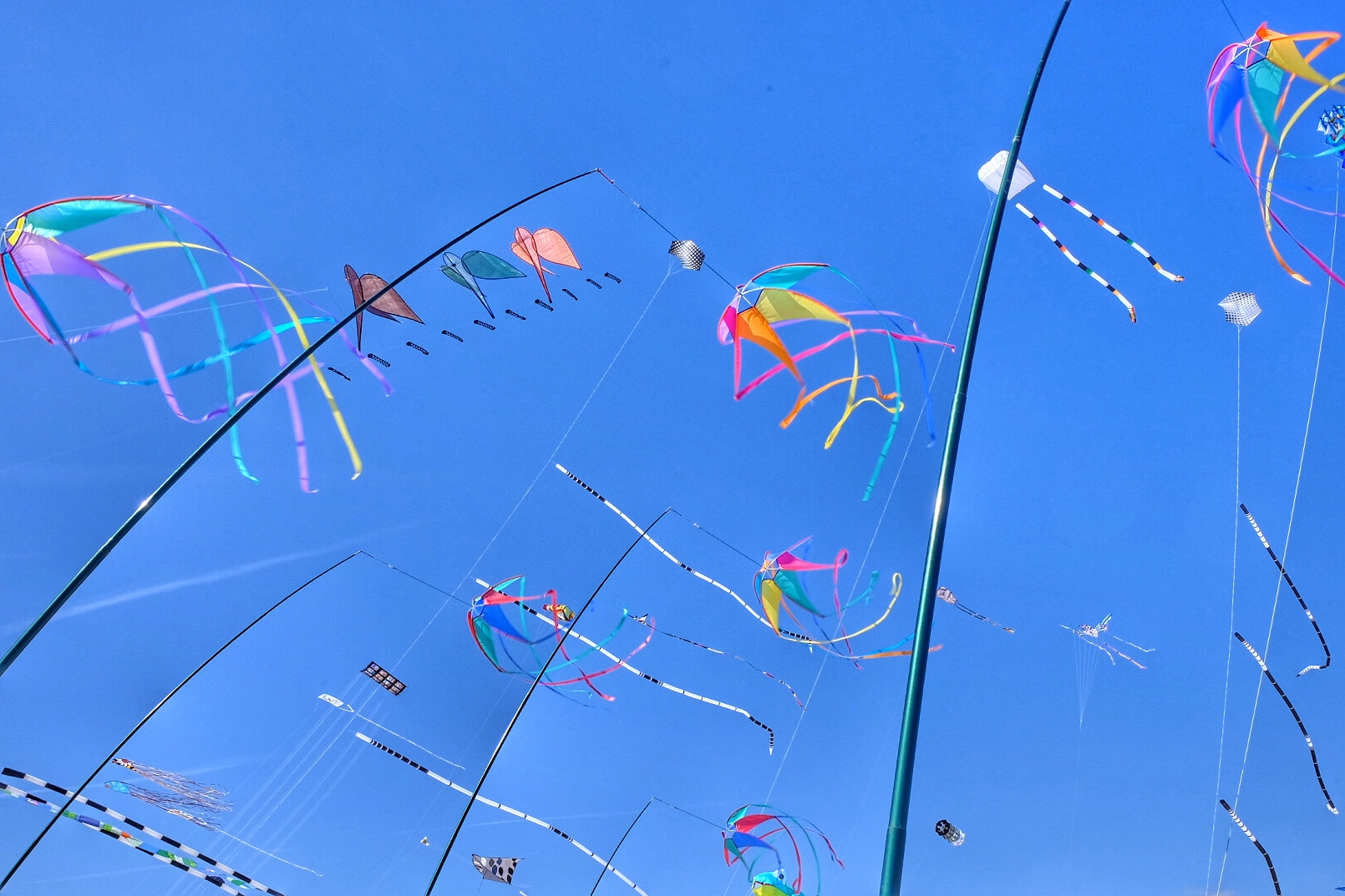 Kites in the Sky