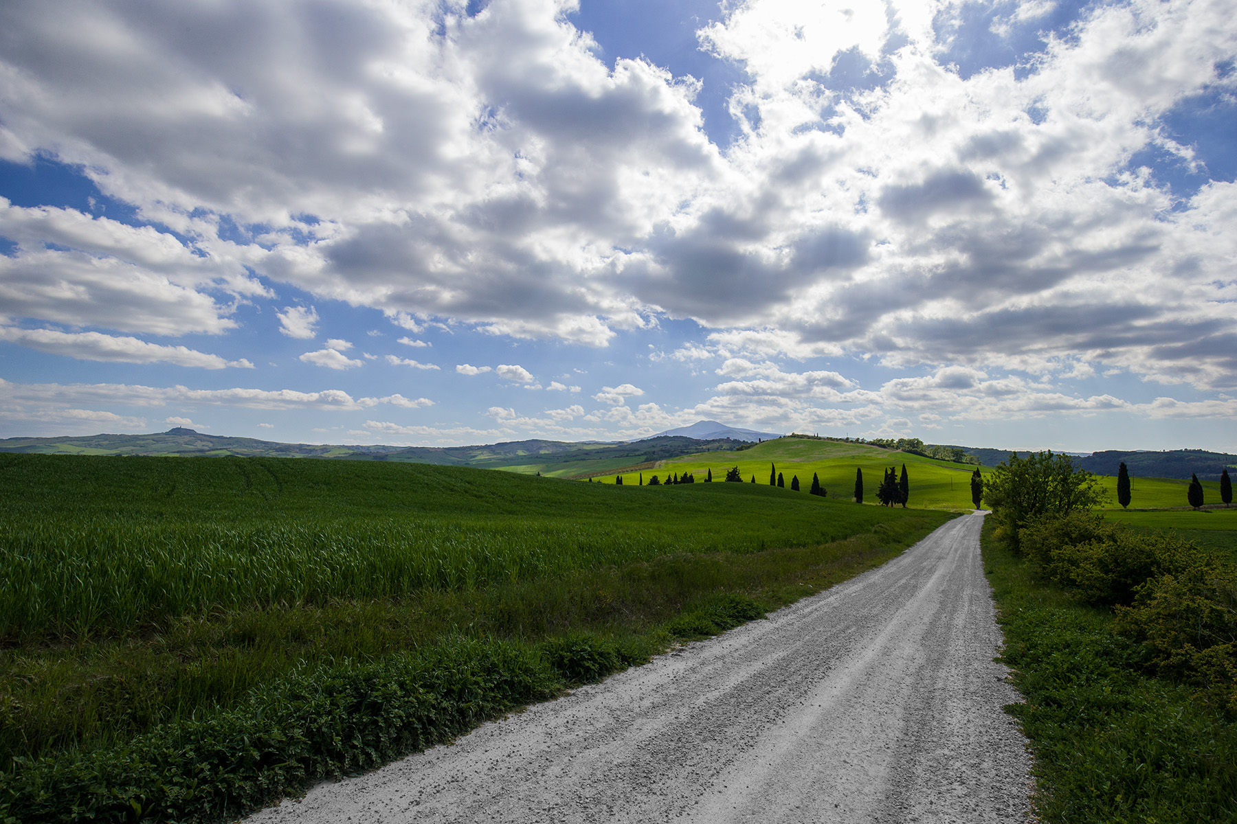 Strada bianca della Val d'Orcia