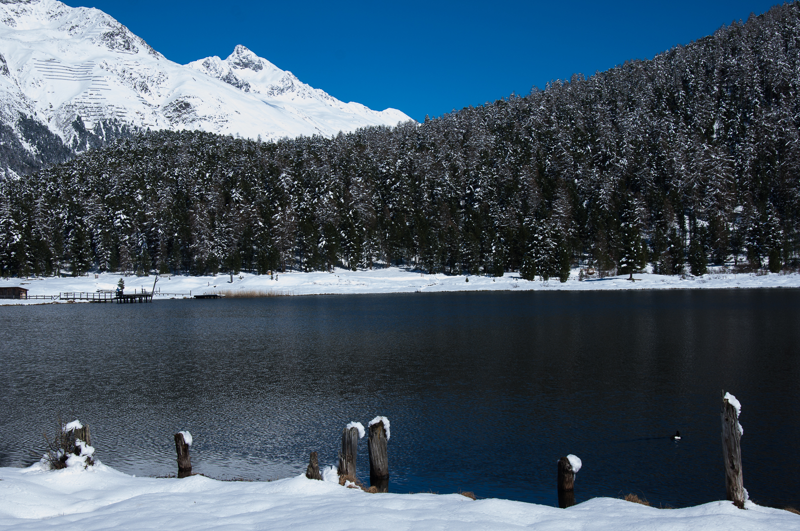 Il ritorno dell'inverno