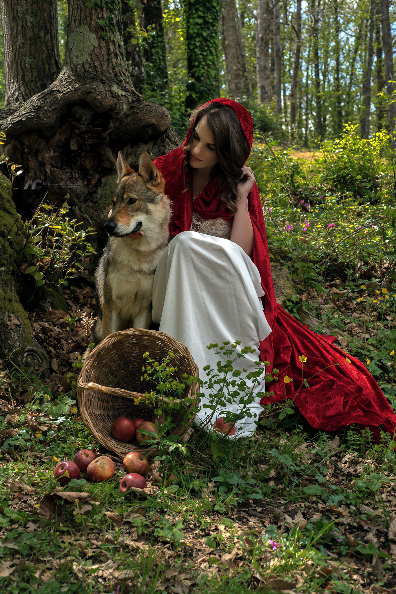 Have you seen my grandmother?