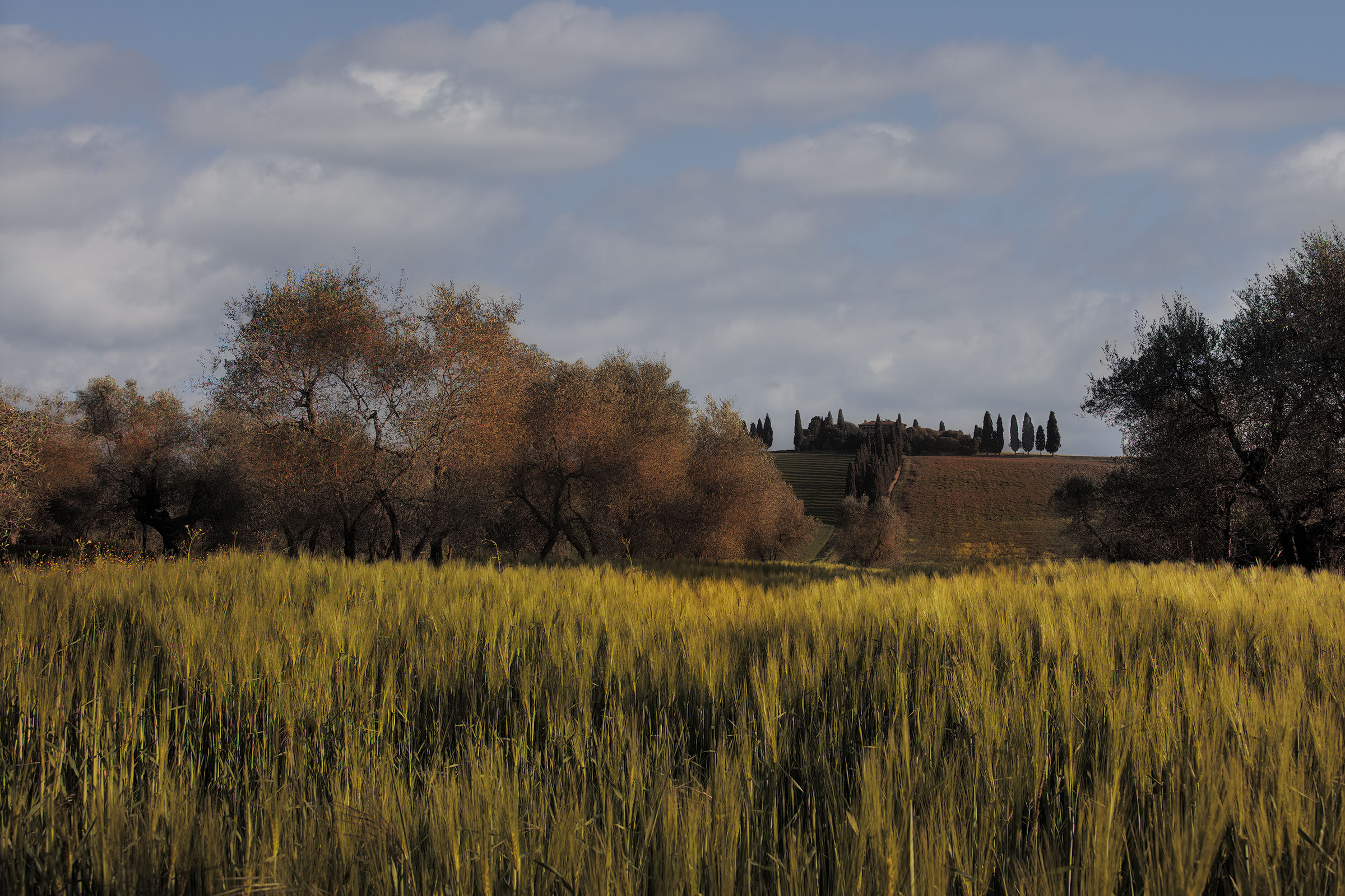 Val D'Orcia5