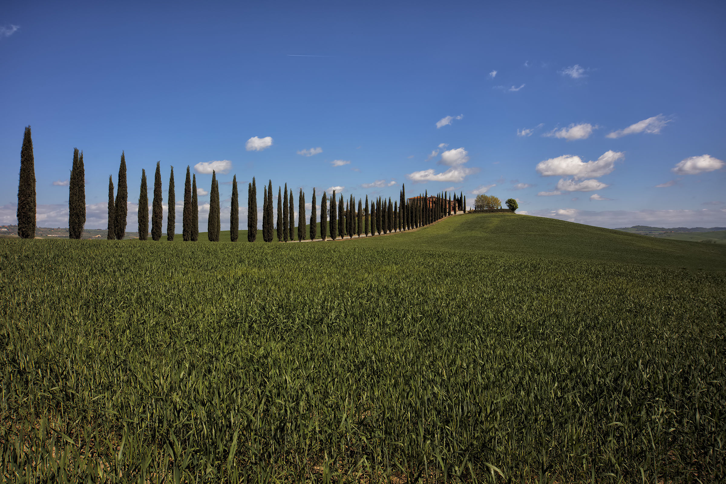 Val D'Orcia6