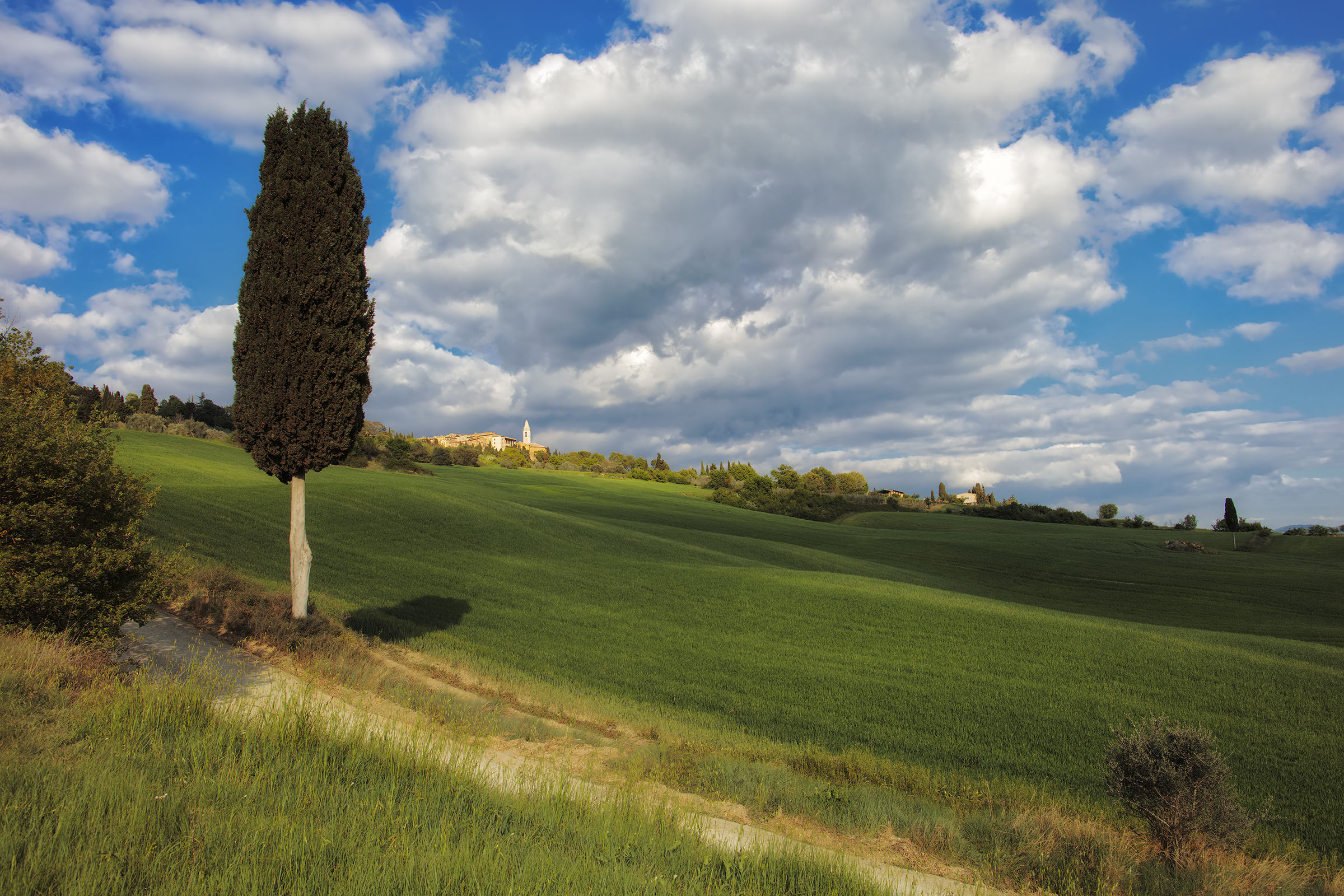 Val D'Orcia10